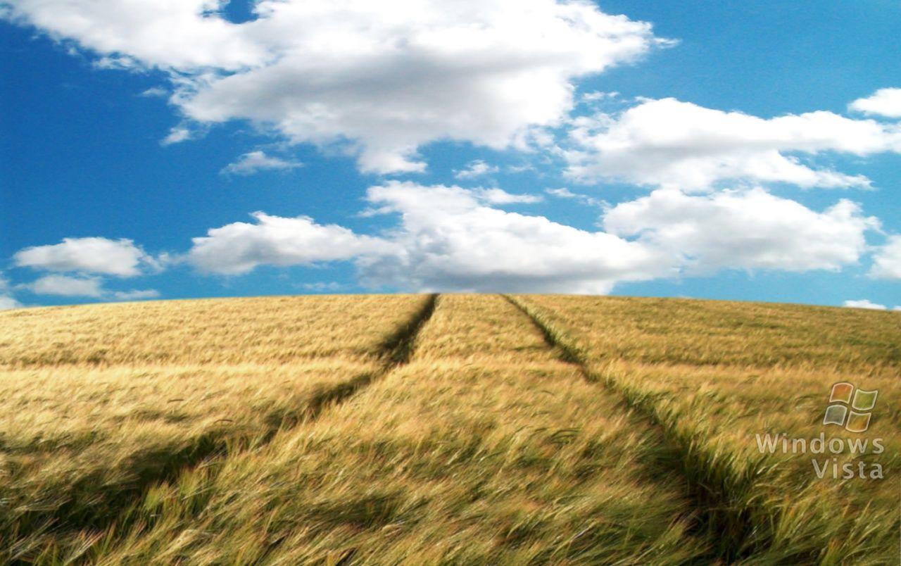 Hay Field Wallpapers Top Free Hay Field Backgrounds WallpaperAccess