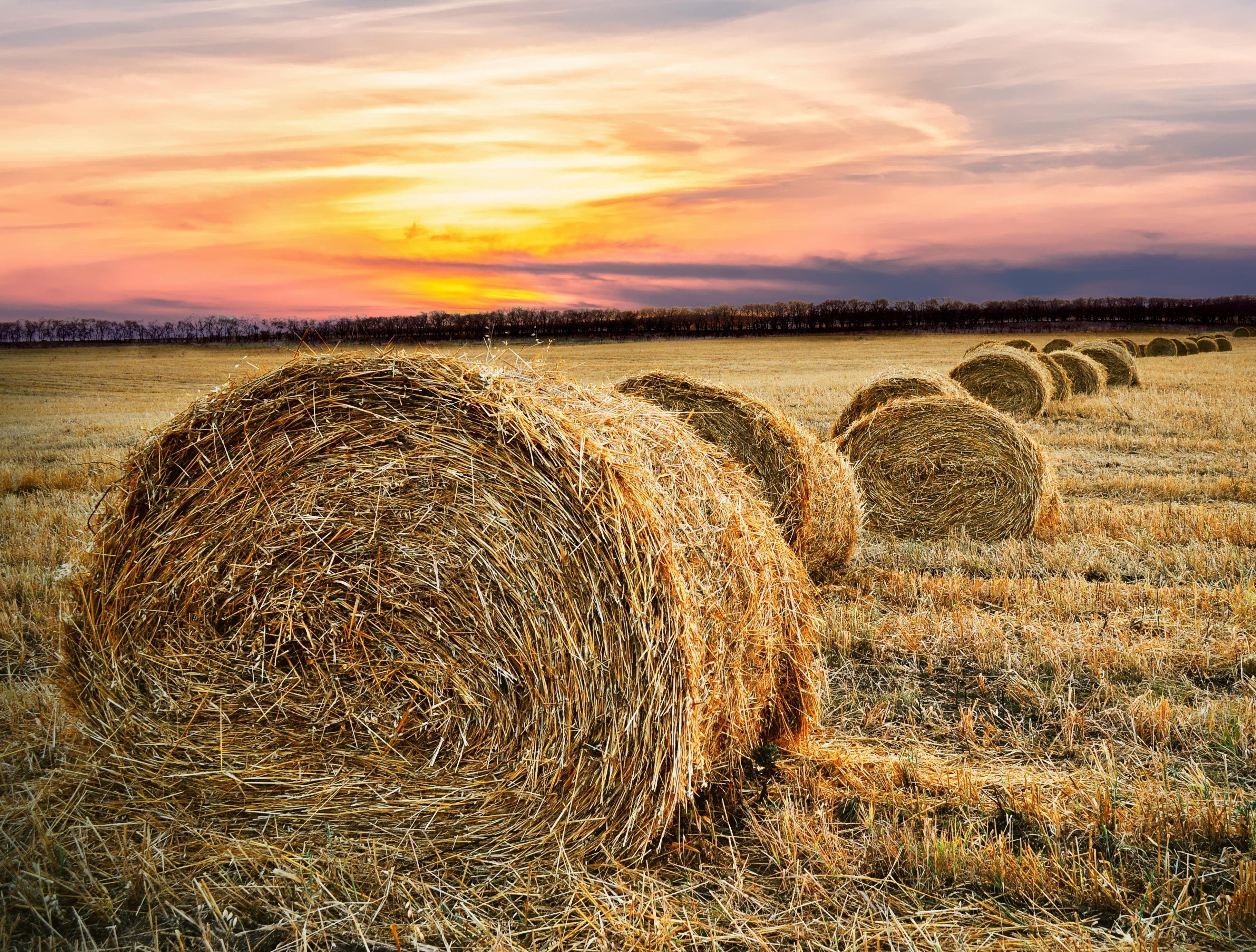 Hay Field Wallpapers Top Free Hay Field Backgrounds WallpaperAccess