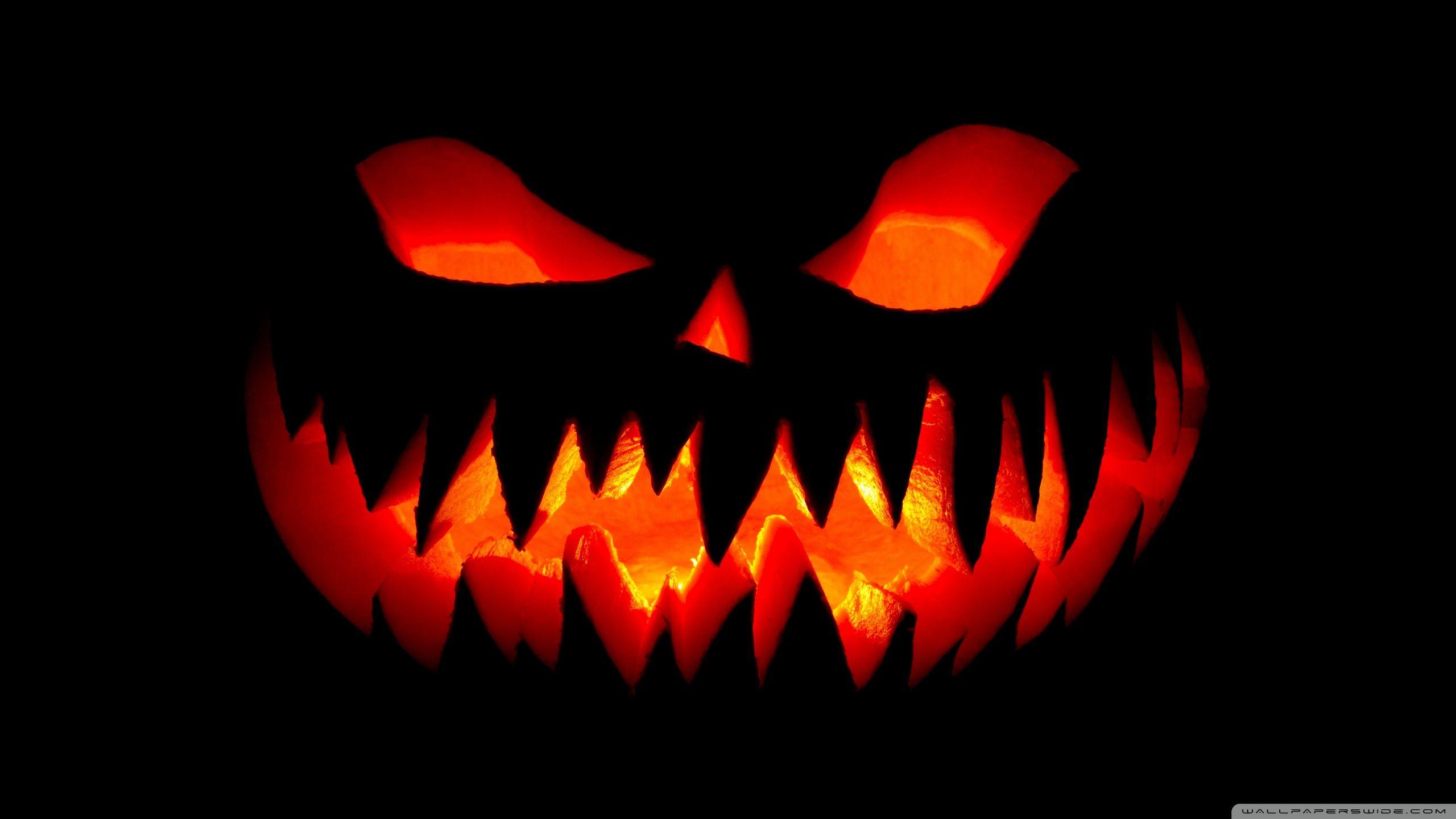 2560x1440 Happy Halloween 2019 Ultra HD Desktop Background Wallpaper for 4K