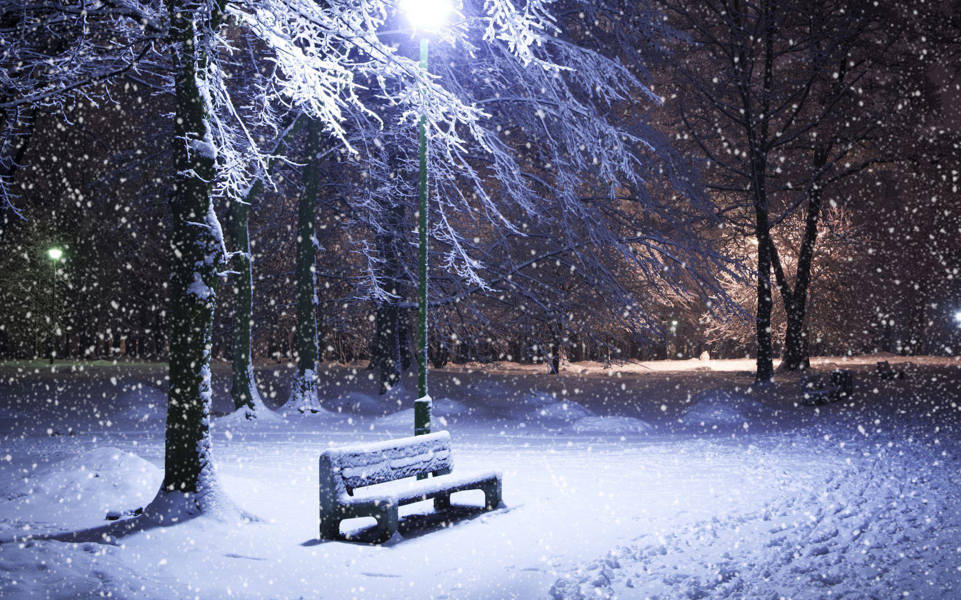 1920x1200 Snow in Moscow park Desktop wallpaper 1920x1200
