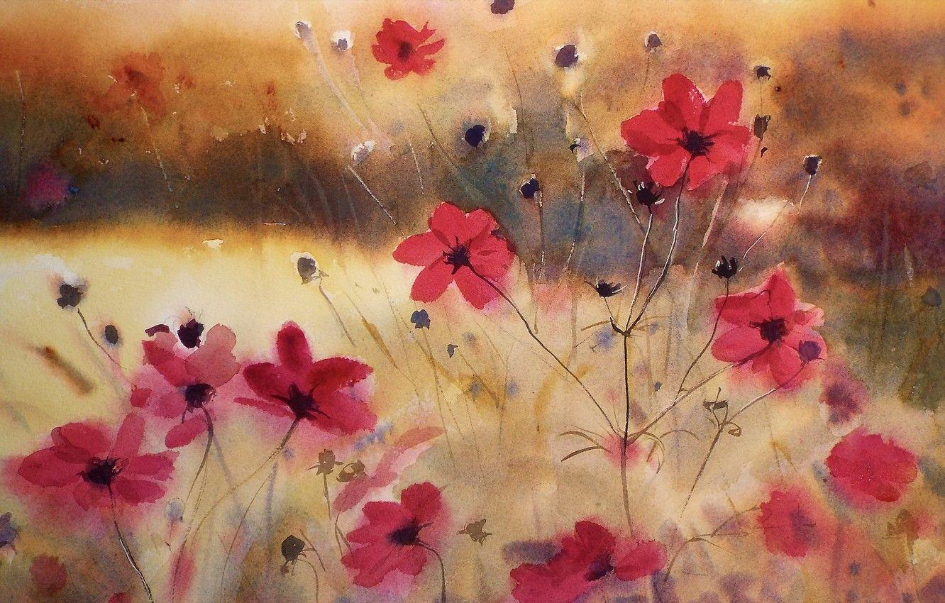 1332x850 Wallpaper flowers, cosmos, watercolor image for desktop, section цветы