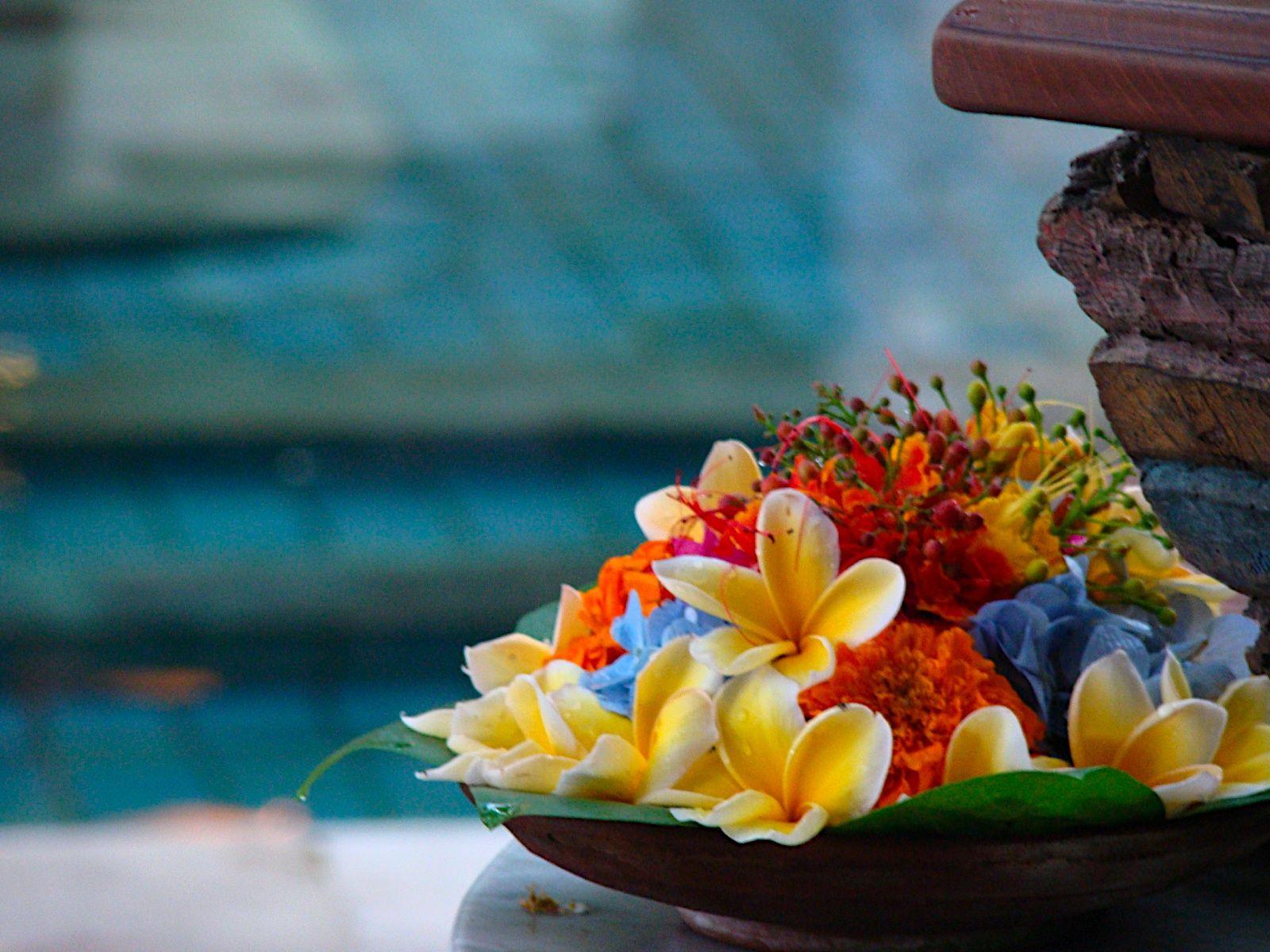 1600x1200 bali flowers and pool. From Barcelona to Bali