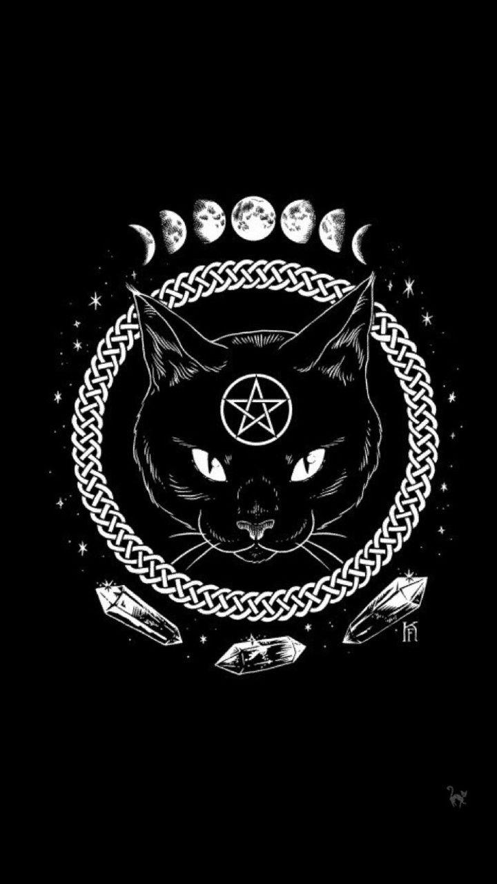 Devil Cat Wallpapers - Top Free Devil Cat Backgrounds - WallpaperAccess