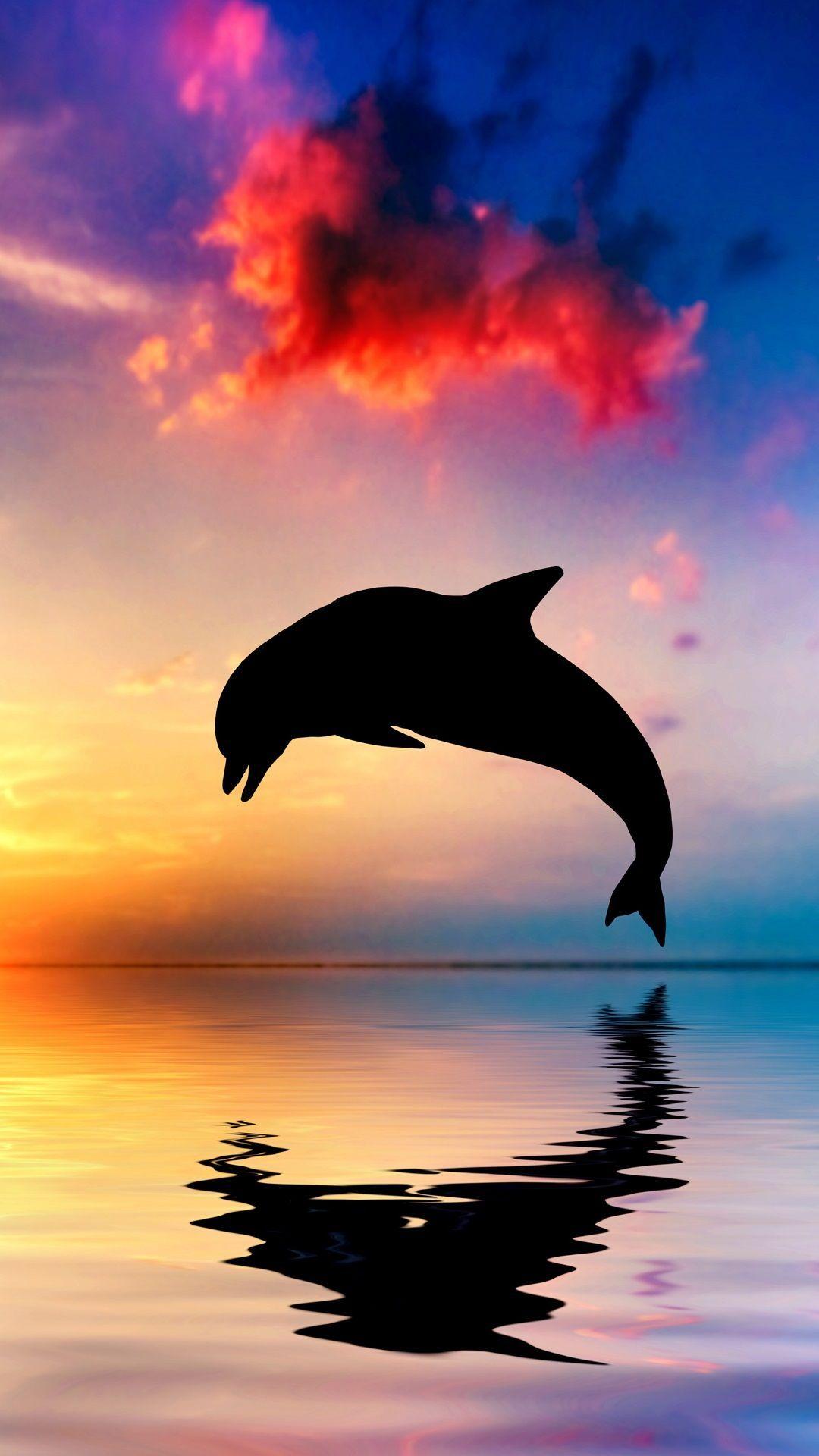 1080x1920 Dolphin jump, silhouette, ocean, water reflection, sunset iPhone