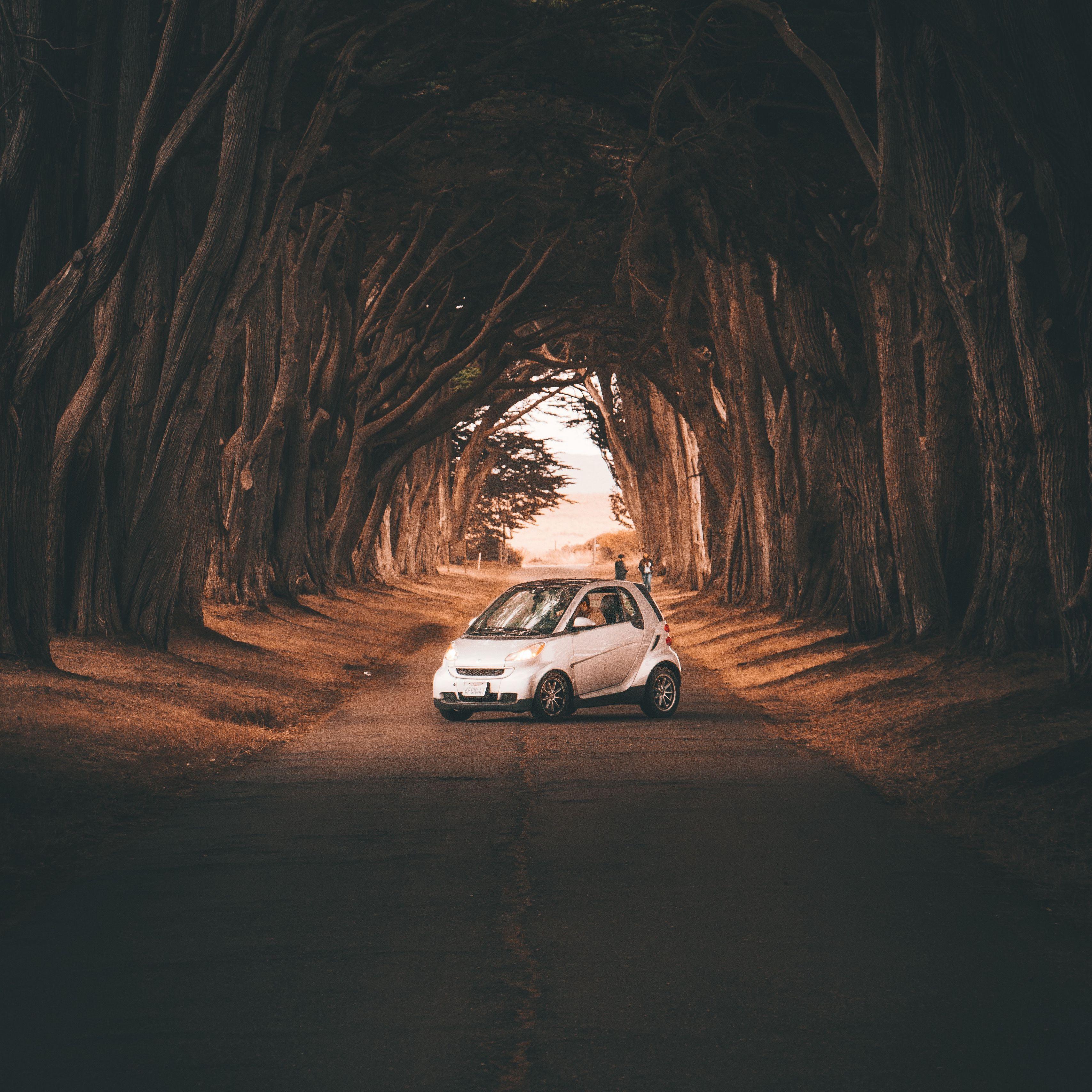 3415x3415 Download wallpaper 3415x3415 smart fortwo, car, road, trees ipad