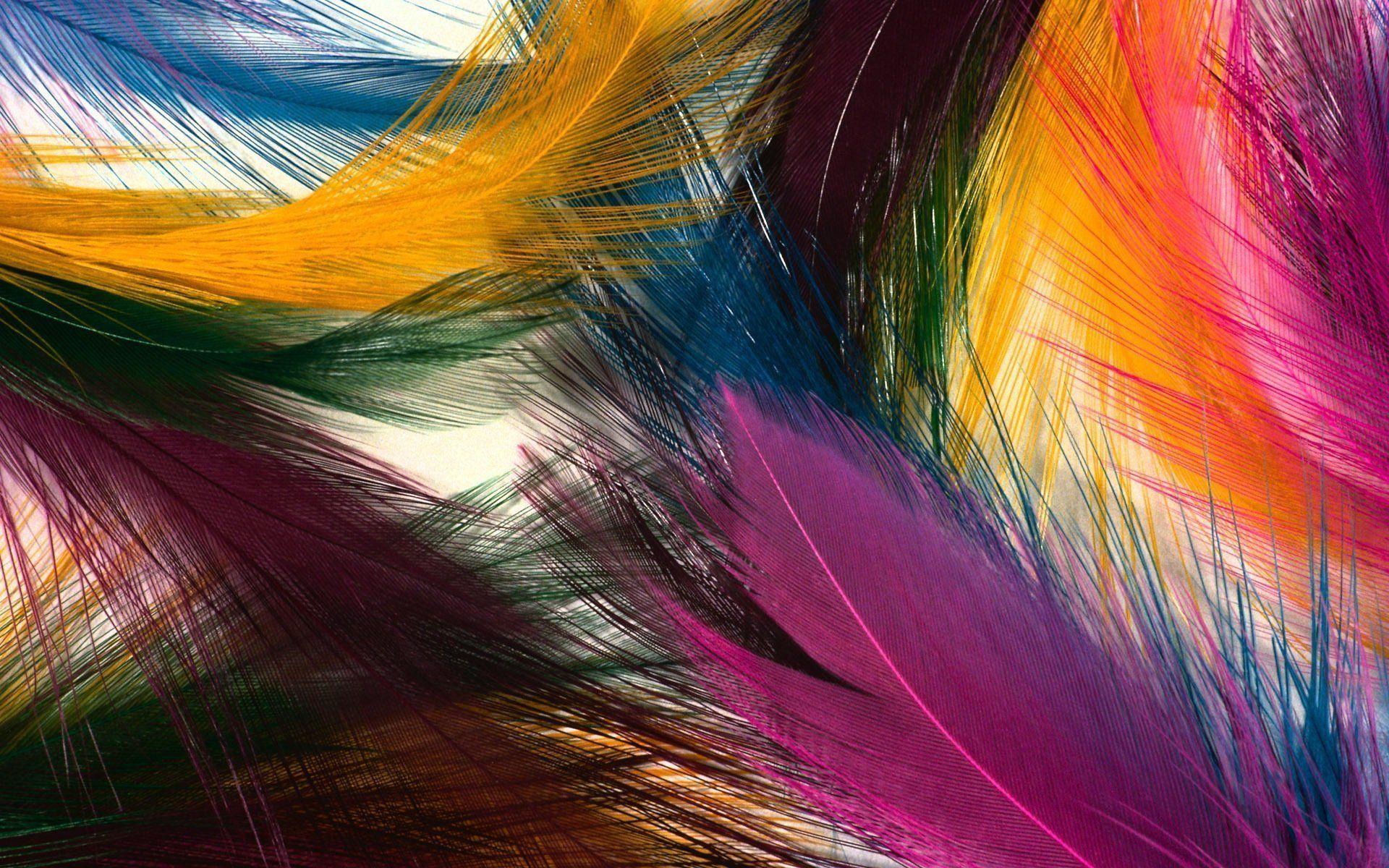 1920x1200 Abstract Colorful Feathers Most Beautiful HD Wide Wallpaper