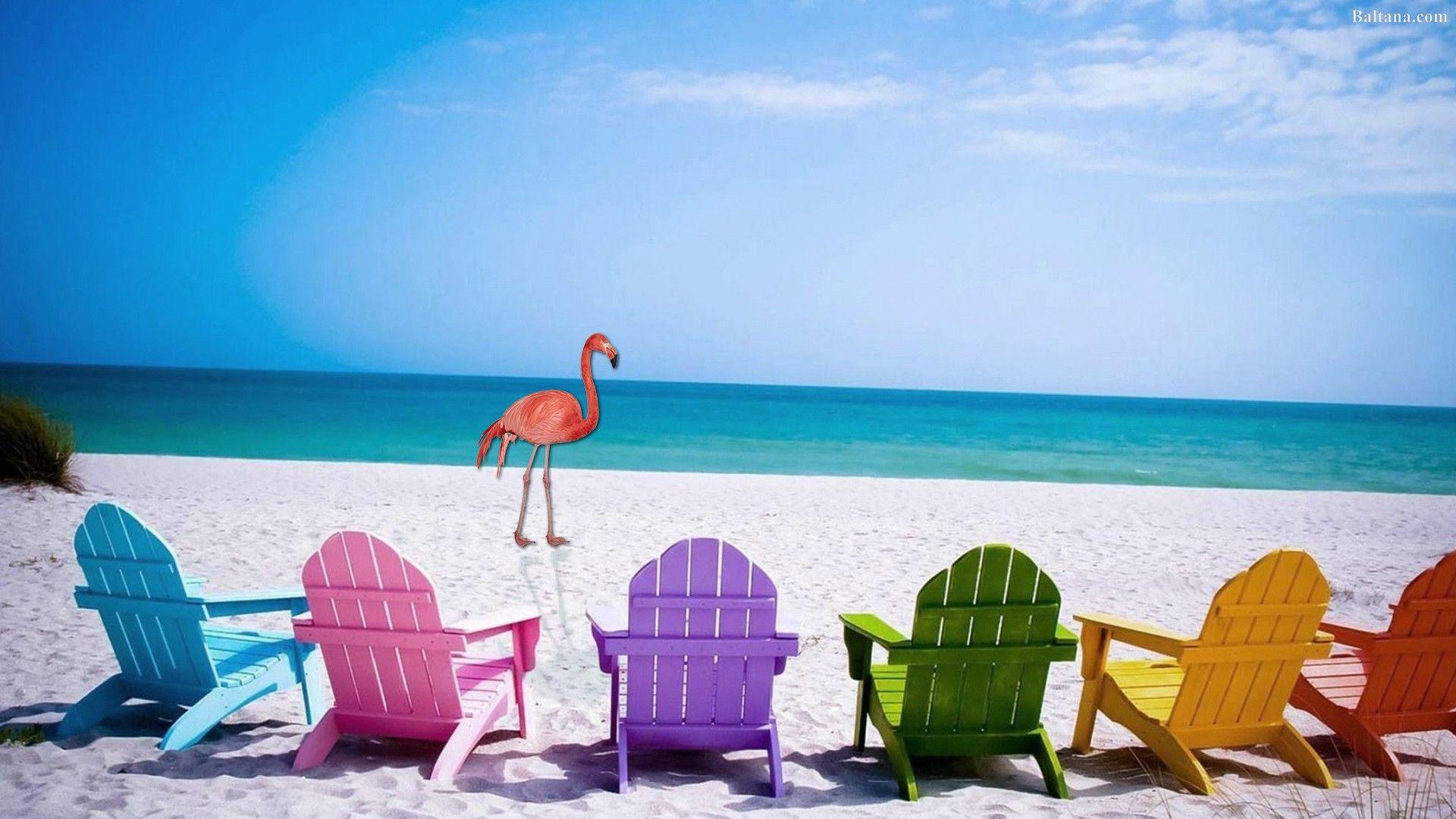 1920x1080 Flamingo Desktop Wallpaper