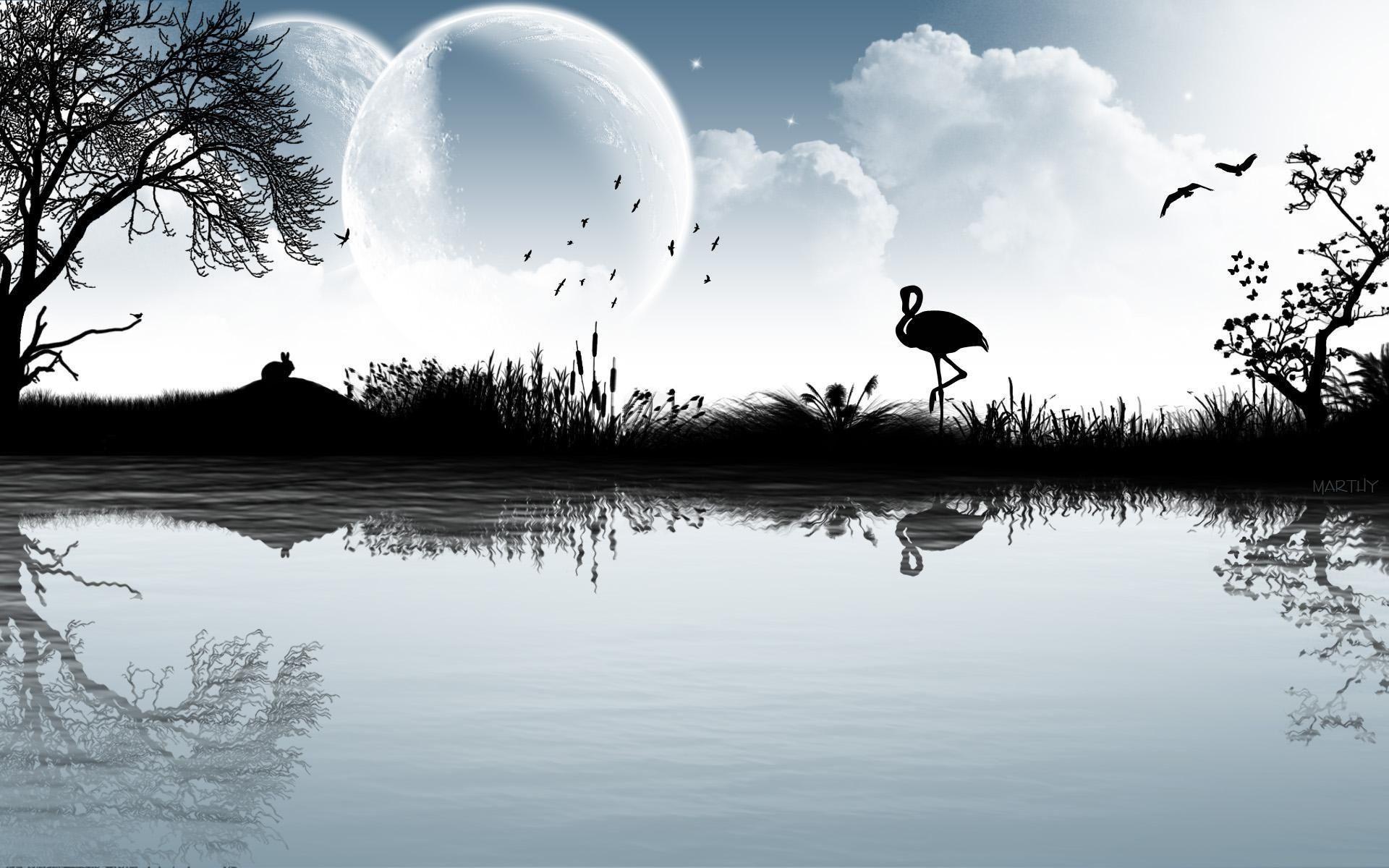 1920x1200 Flamingo