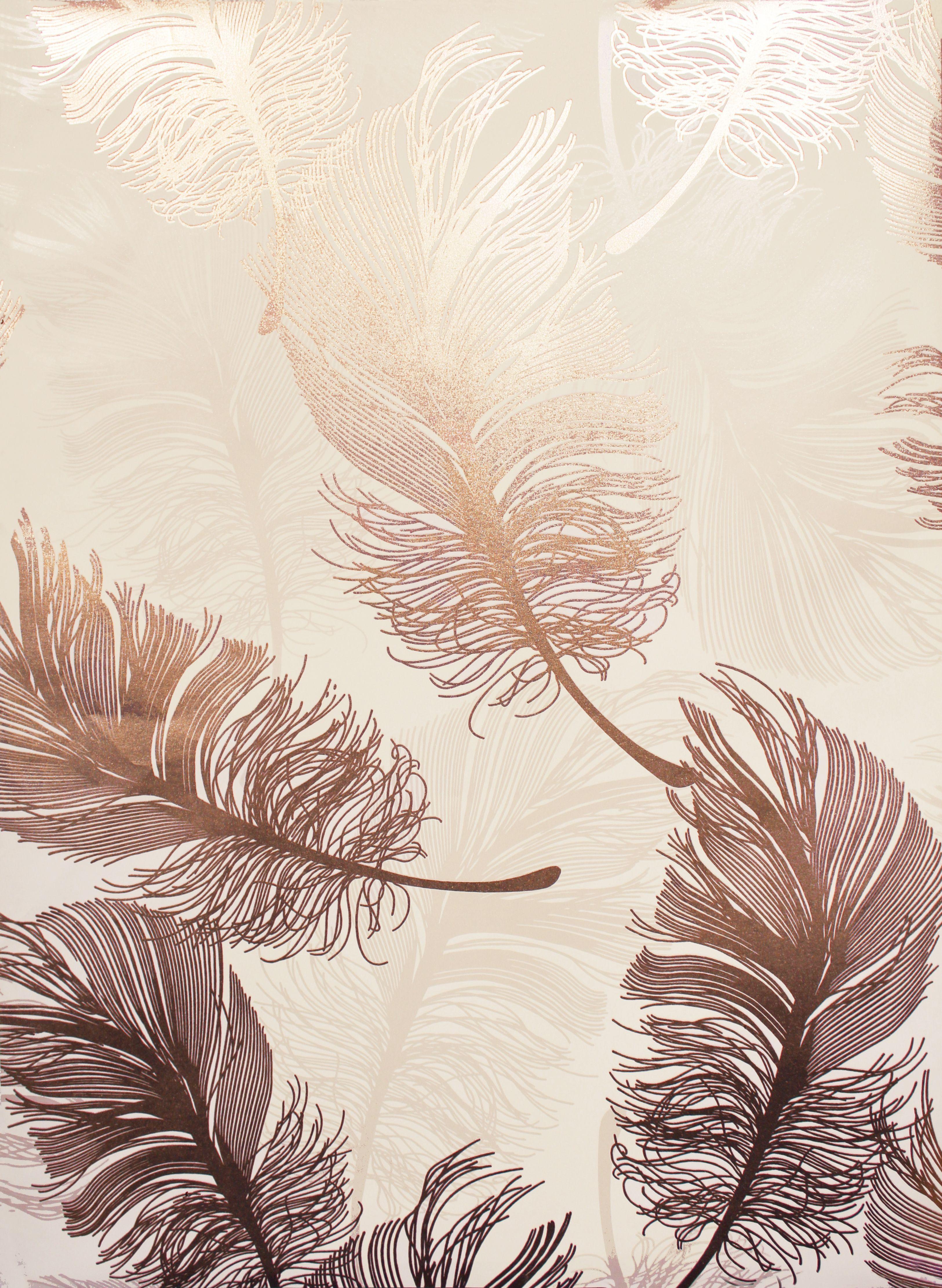 Feather HD Wallpapers by Lin Chau