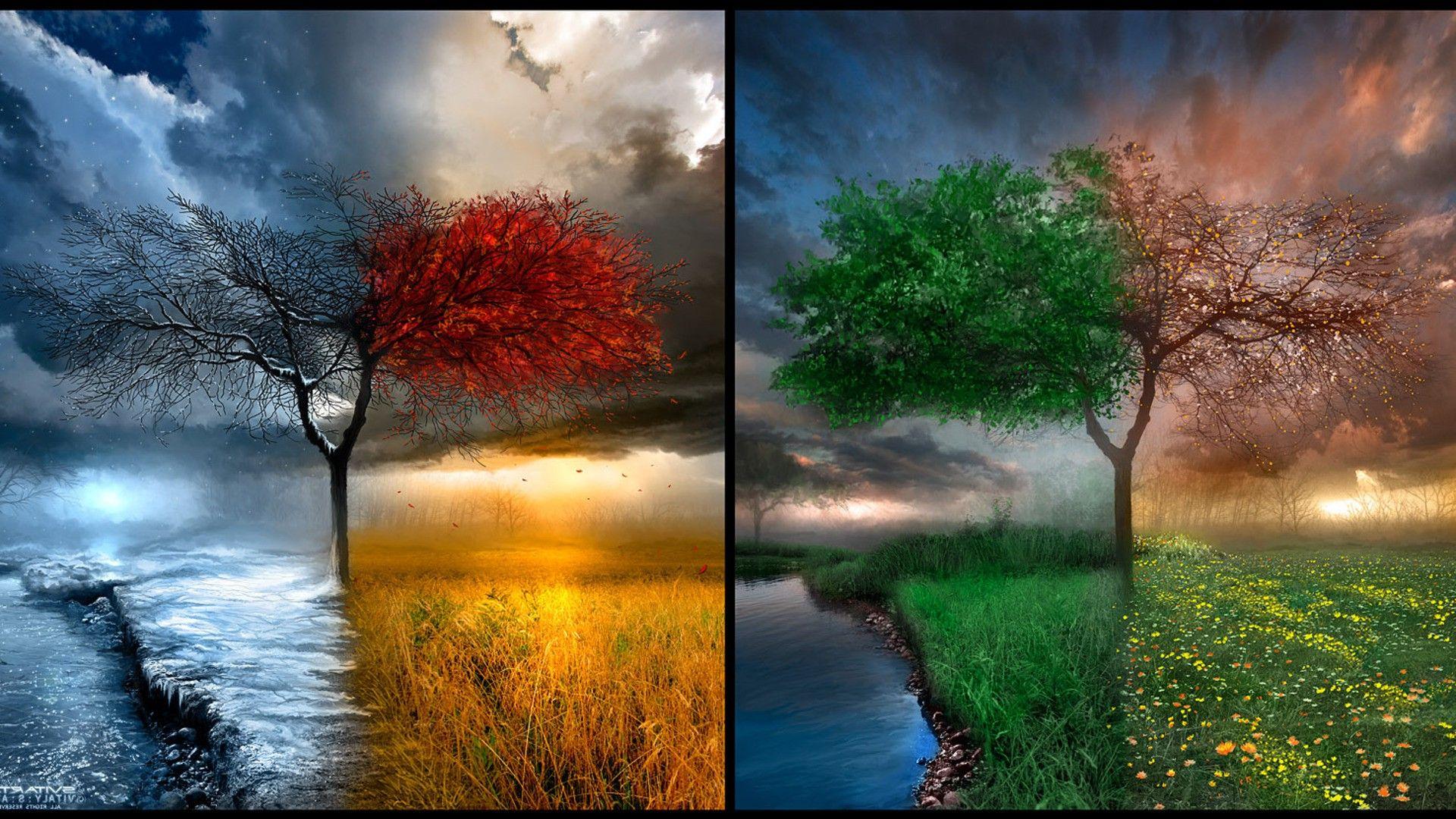 1920x1080 nature, Seasons Wallpaper HD / Desktop and Mobile Background