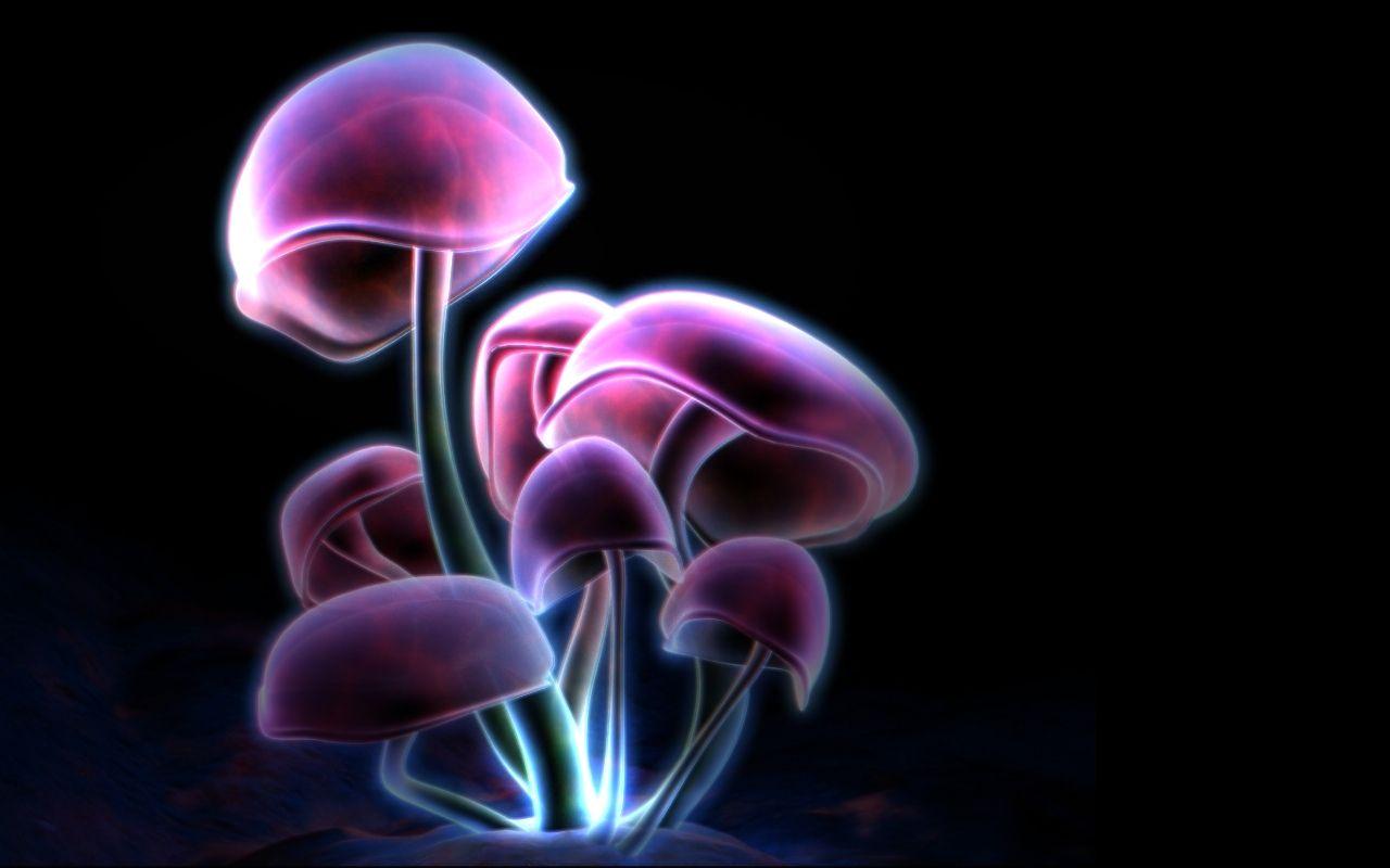 Fungus Wallpapers - Top Free Fungus Backgrounds - WallpaperAccess