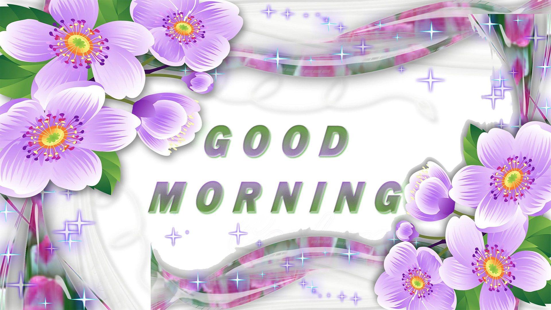 Hình nền miễn phí 1920x1080 Beautiful HD Good Morning Roses https://wallpaperaccess.com/full/3529160.jpg