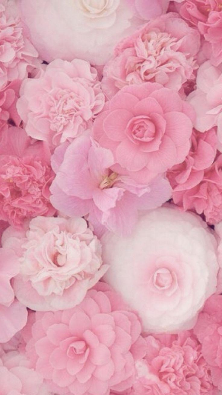 Elegant Pink Wallpapers - Top Free Elegant Pink Backgrounds -  WallpaperAccess