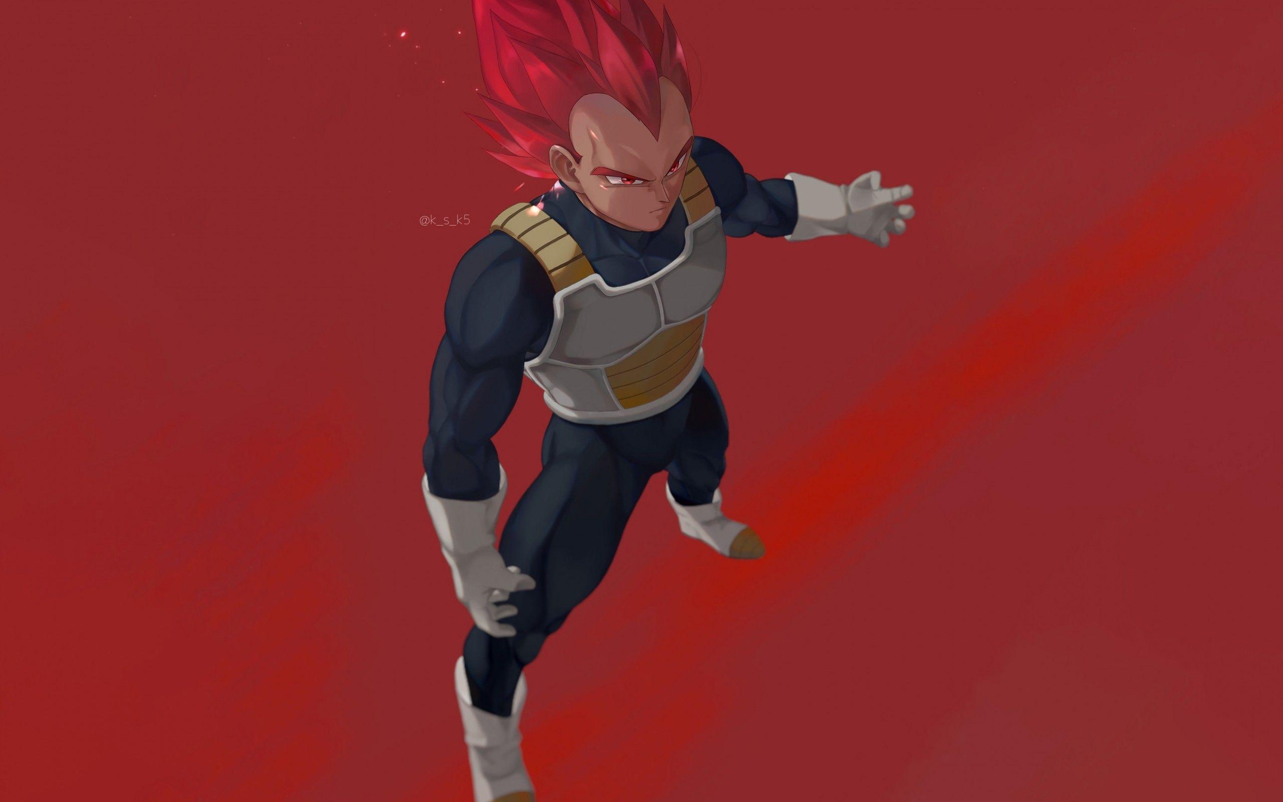 2560x1600 Download 2560x1600 Dragon Ball Super, Vegeta, Super Saiyan God Wallpaper for MacBook Pro 13 inch