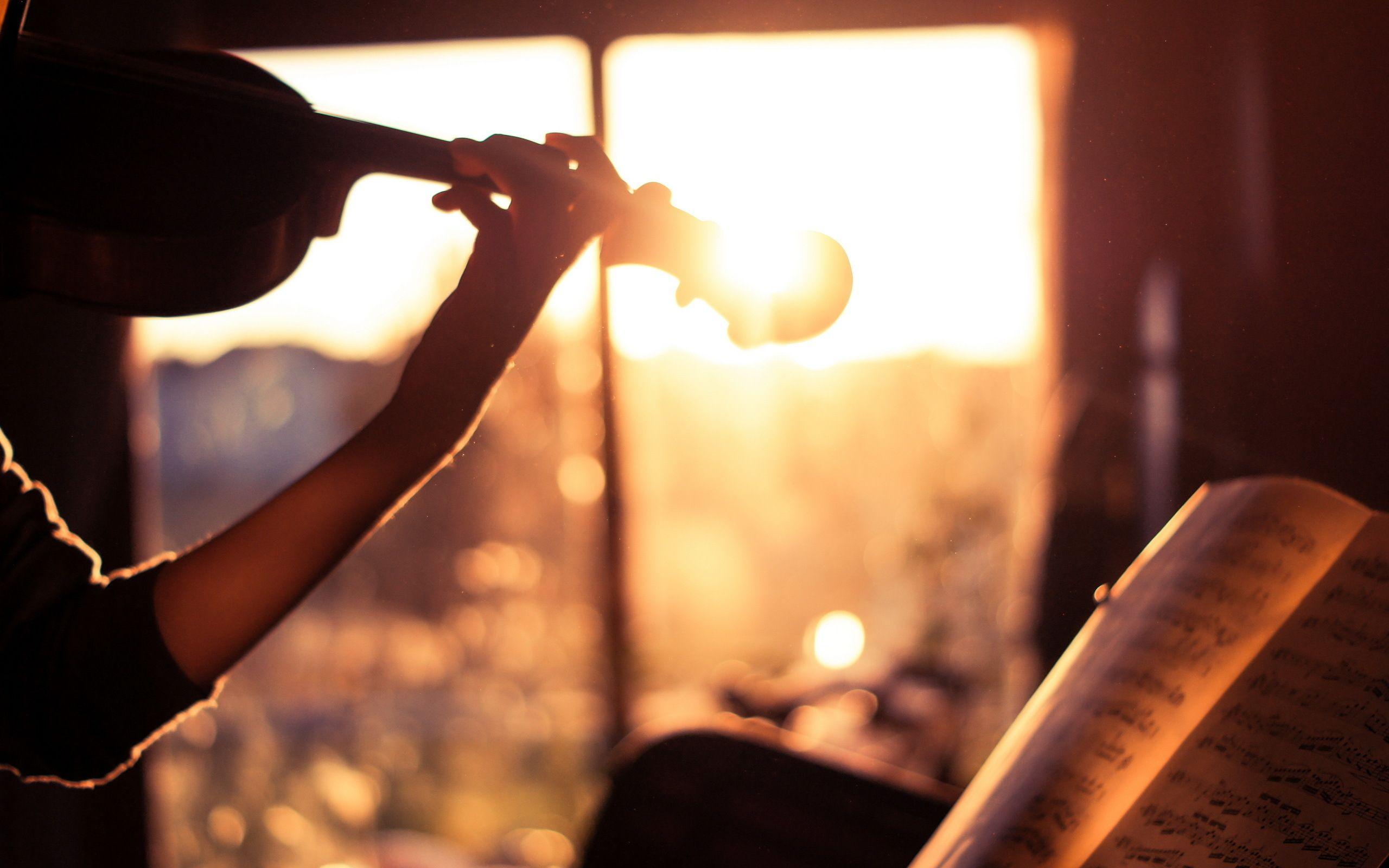 2560x1600 Amazing Violin Wallpaper 34032 2560x1600px