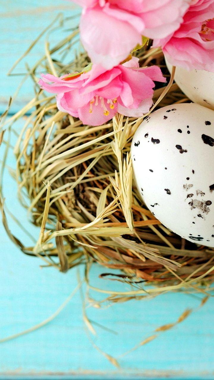720x1280 spring, eggs, pastel, easter, spring, delicate, eggs