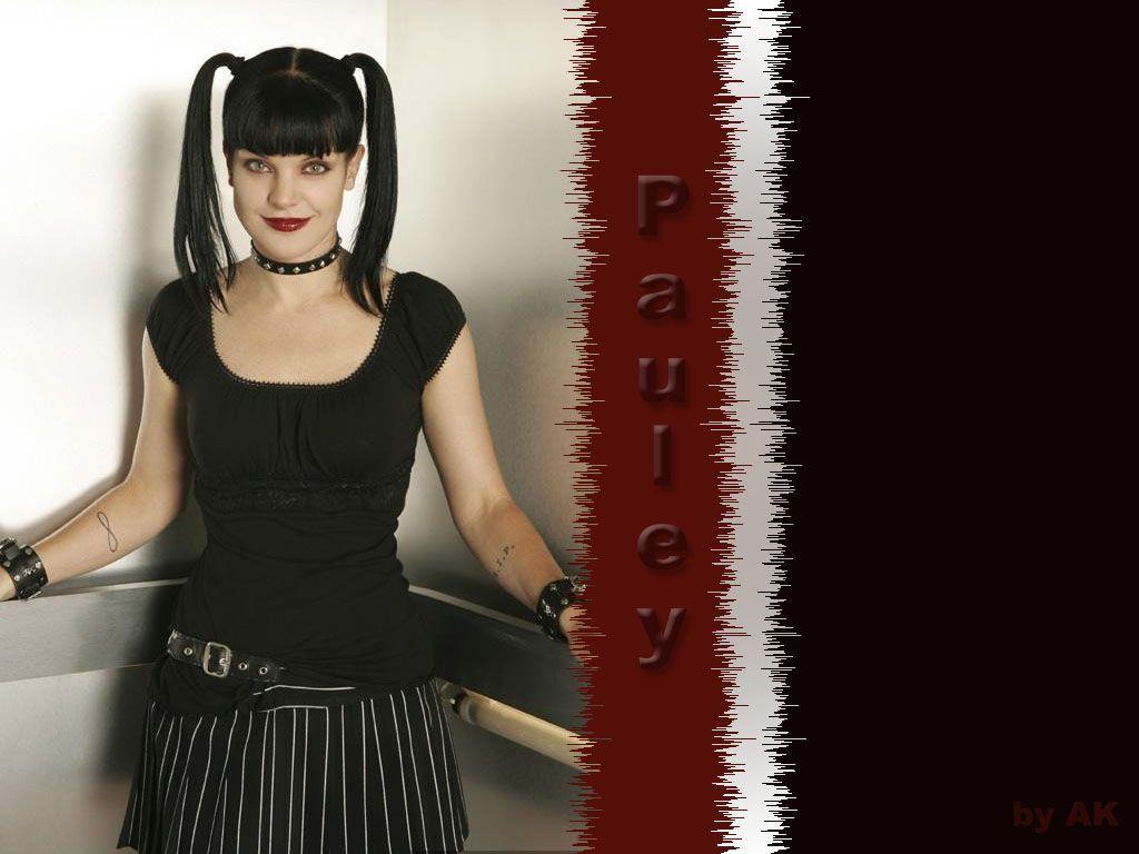 1024x768 Paulie Paurette. pauley perrette coyote 20 Groovy Pauley Perrette