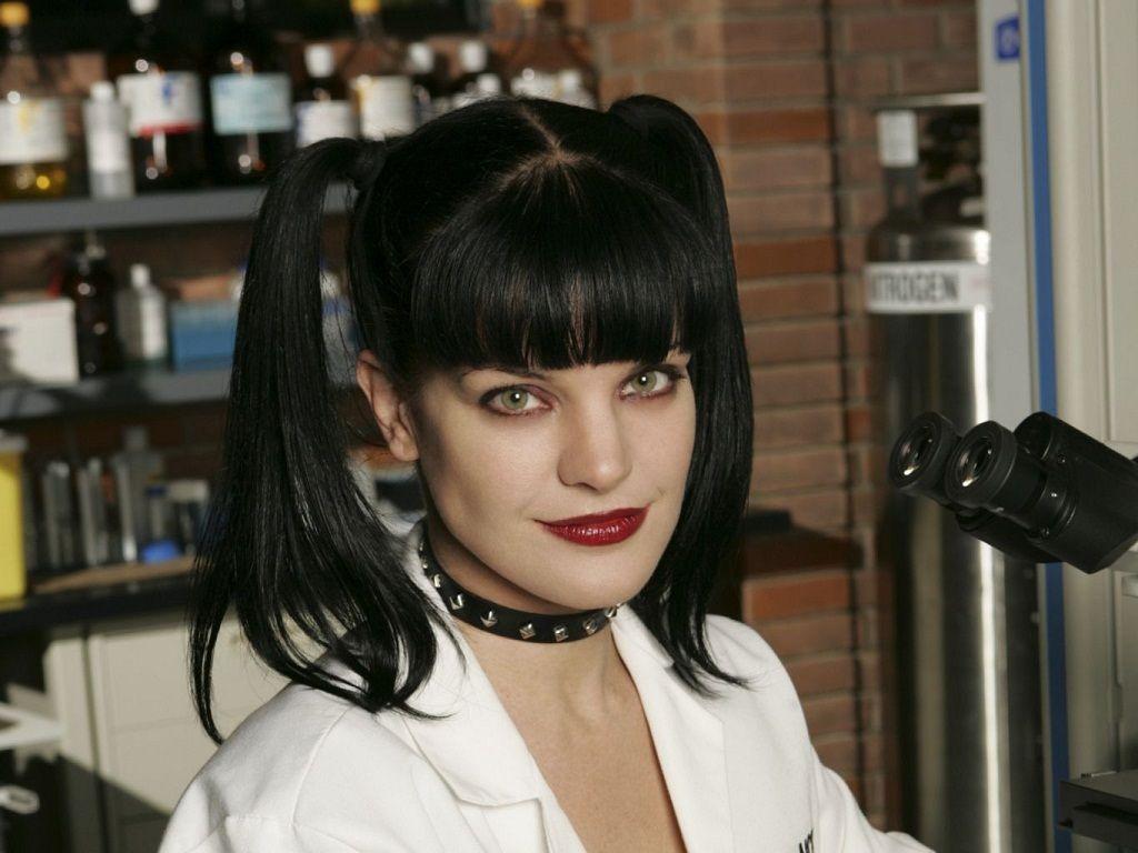 1024x768 NCIS Pauley Perrette Wiki Bio: More On Her Career, Net Worth