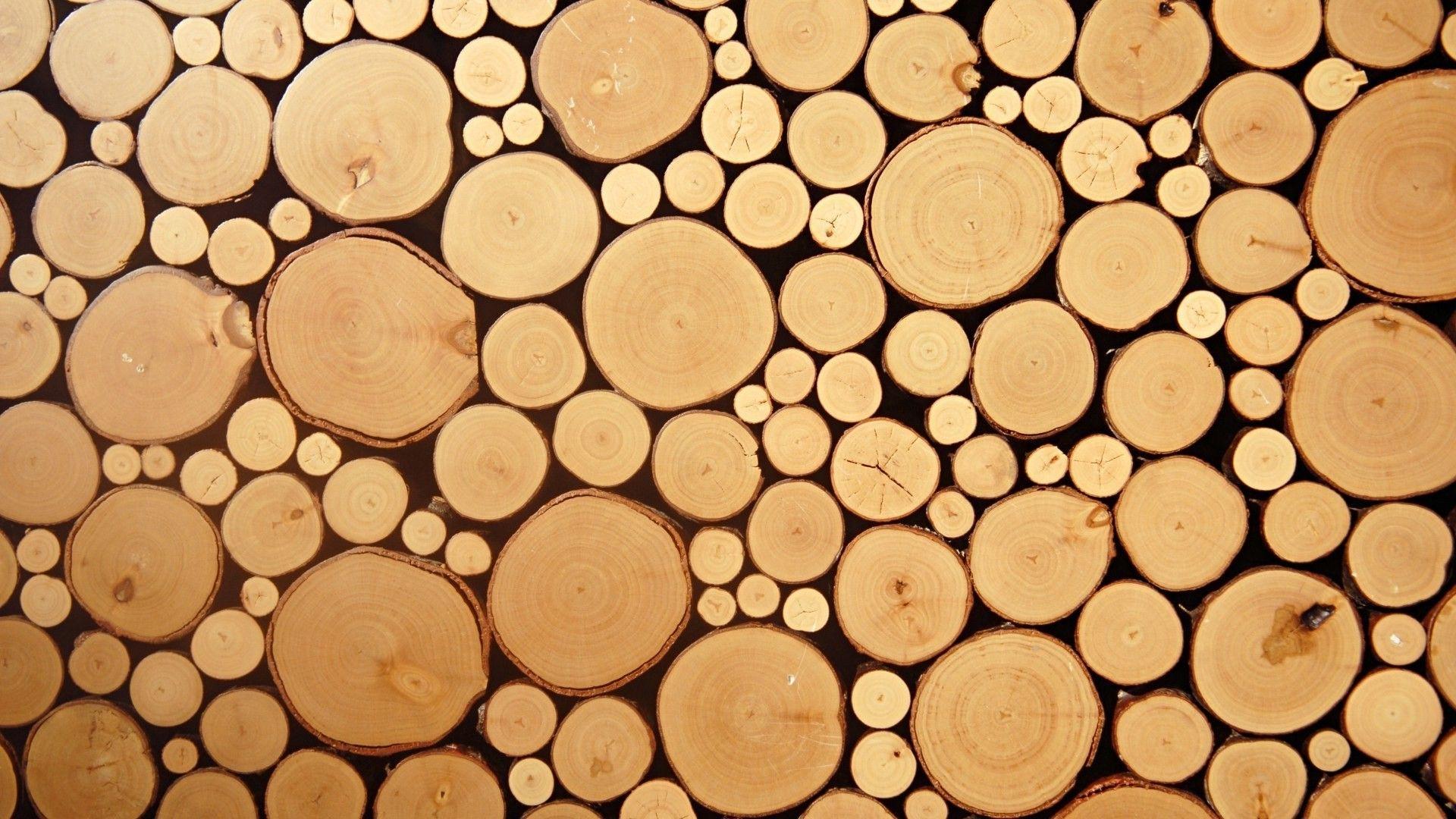 1920x1080 nature, Texture, Wood, Circle, Photography, Minimalism, Simple