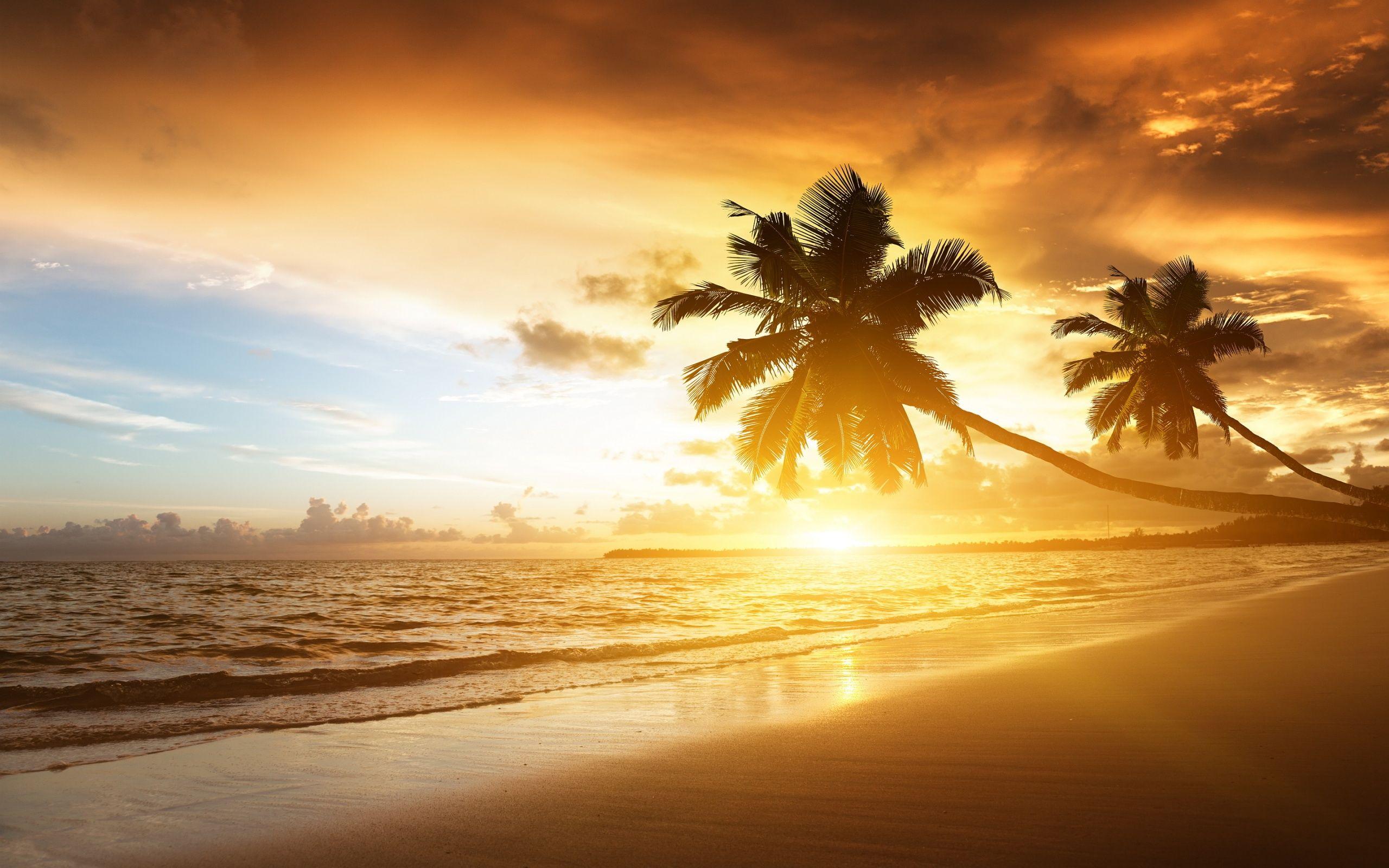 2560x1600 Beach Sunset Wallpaper