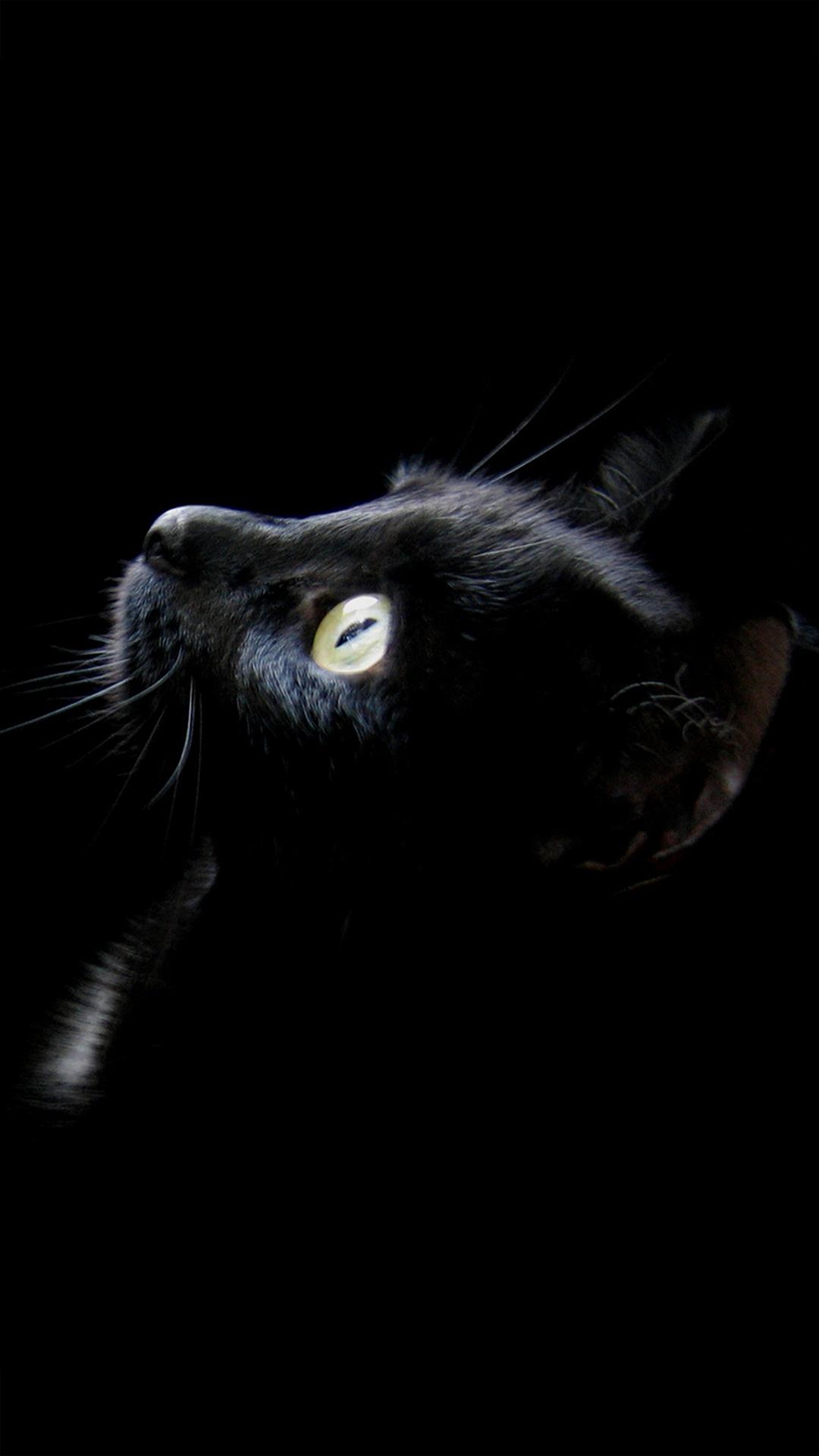 1080x1920 Black Cell Phone Wallpaper -