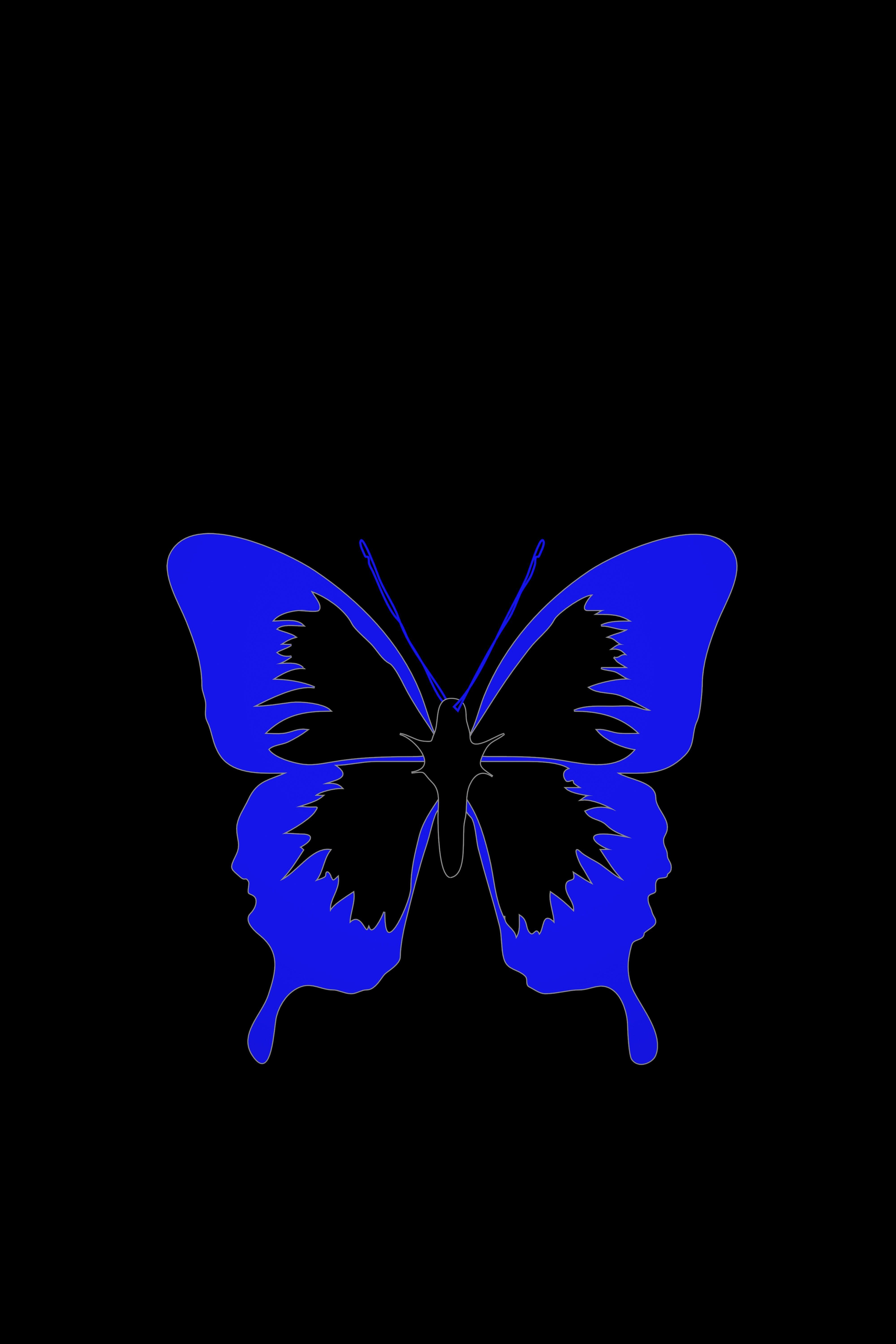 4000x6000 Download wallpaper 4000x6000 butterfly, minimalism, black, blue HD