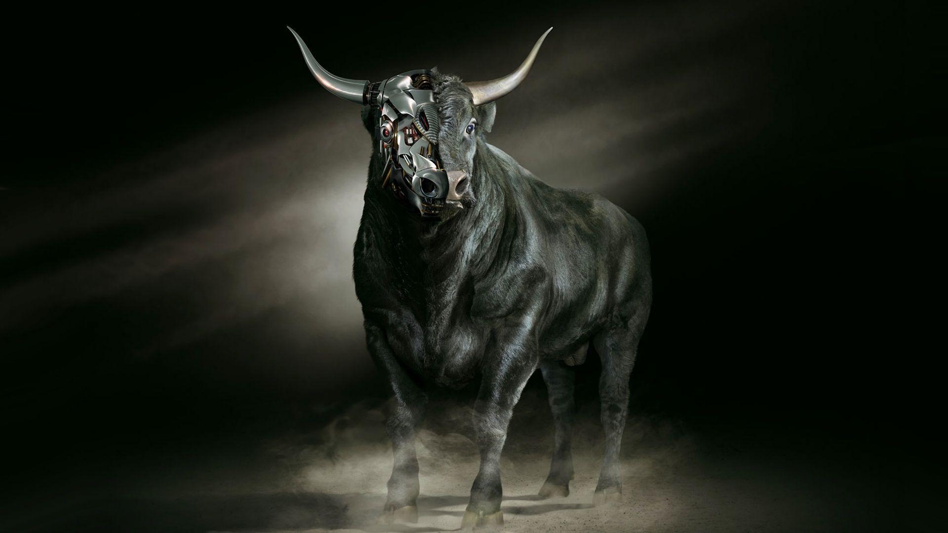 1920x1080 Bull Wallpaper HD
