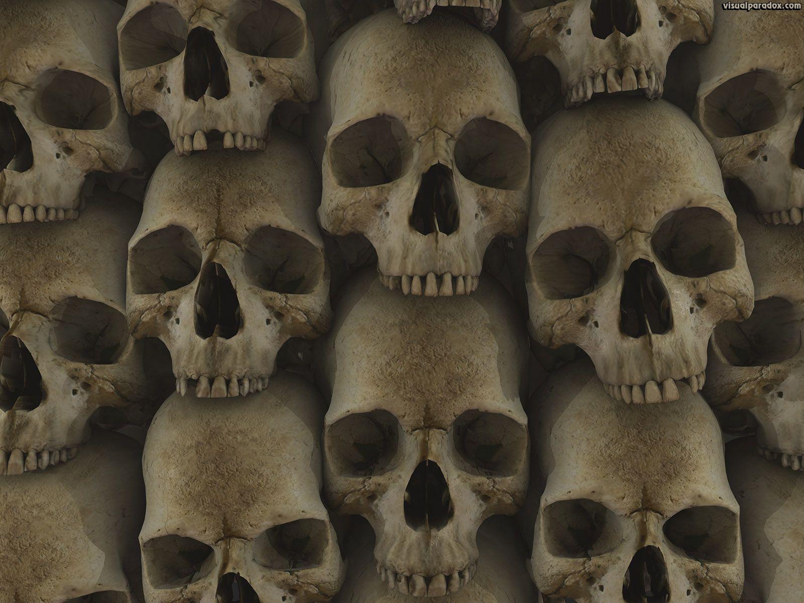 1600x1200 Skull Head Wallpaper
