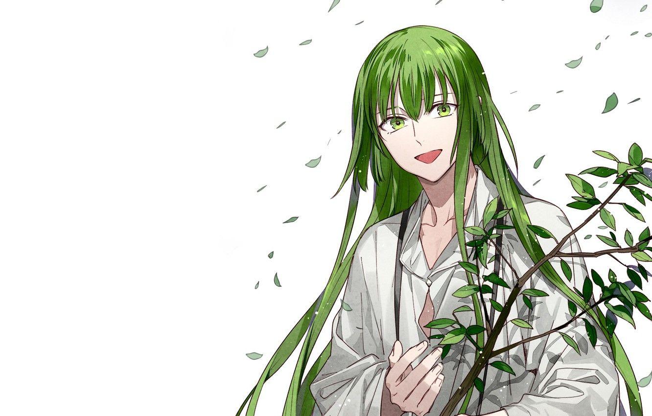 1332x850 Wallpaper leaves, Enkidu, Fate strange fake image for desktop, section сёнэн