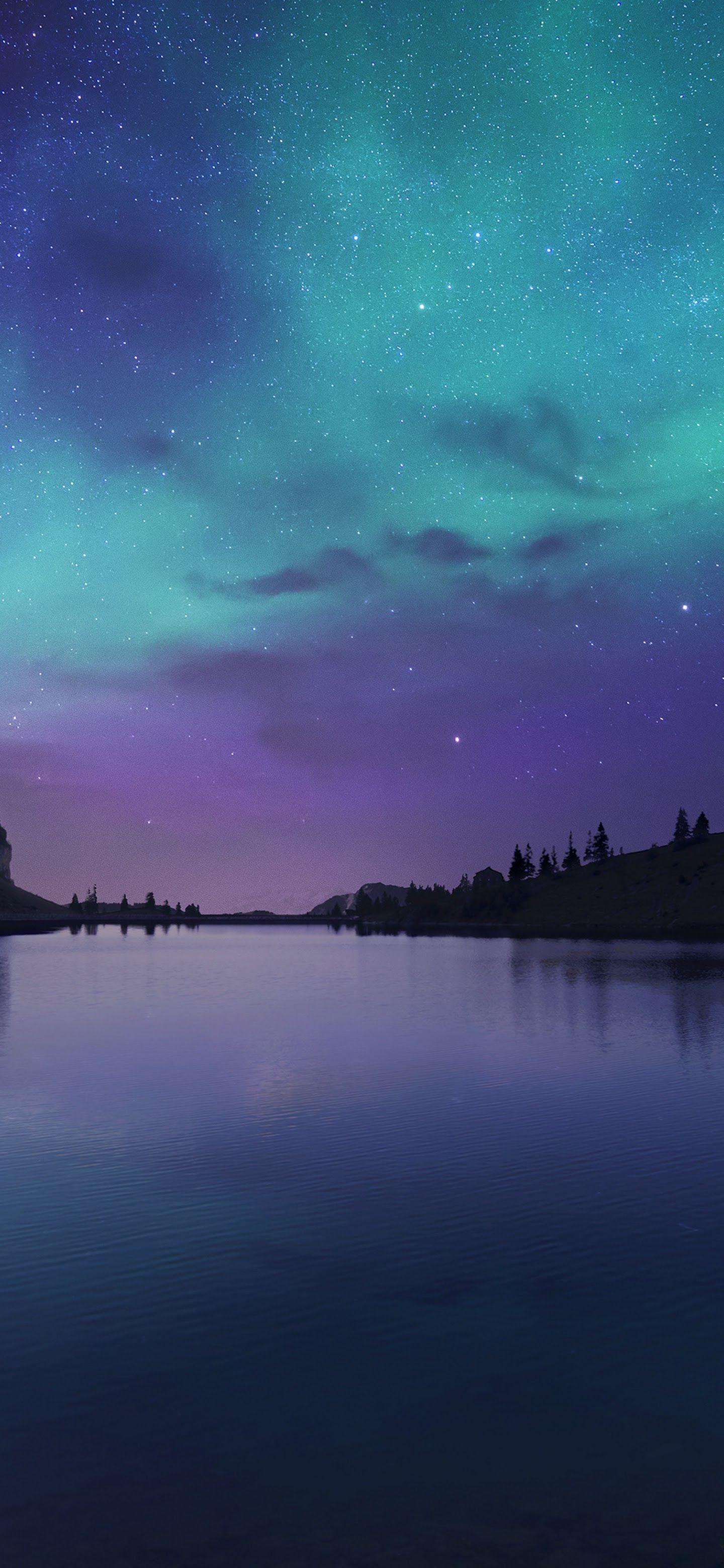 1440x3120 Aurora Borealis Night Sky Stars Lake Nature Scenery 4K Wallpaper