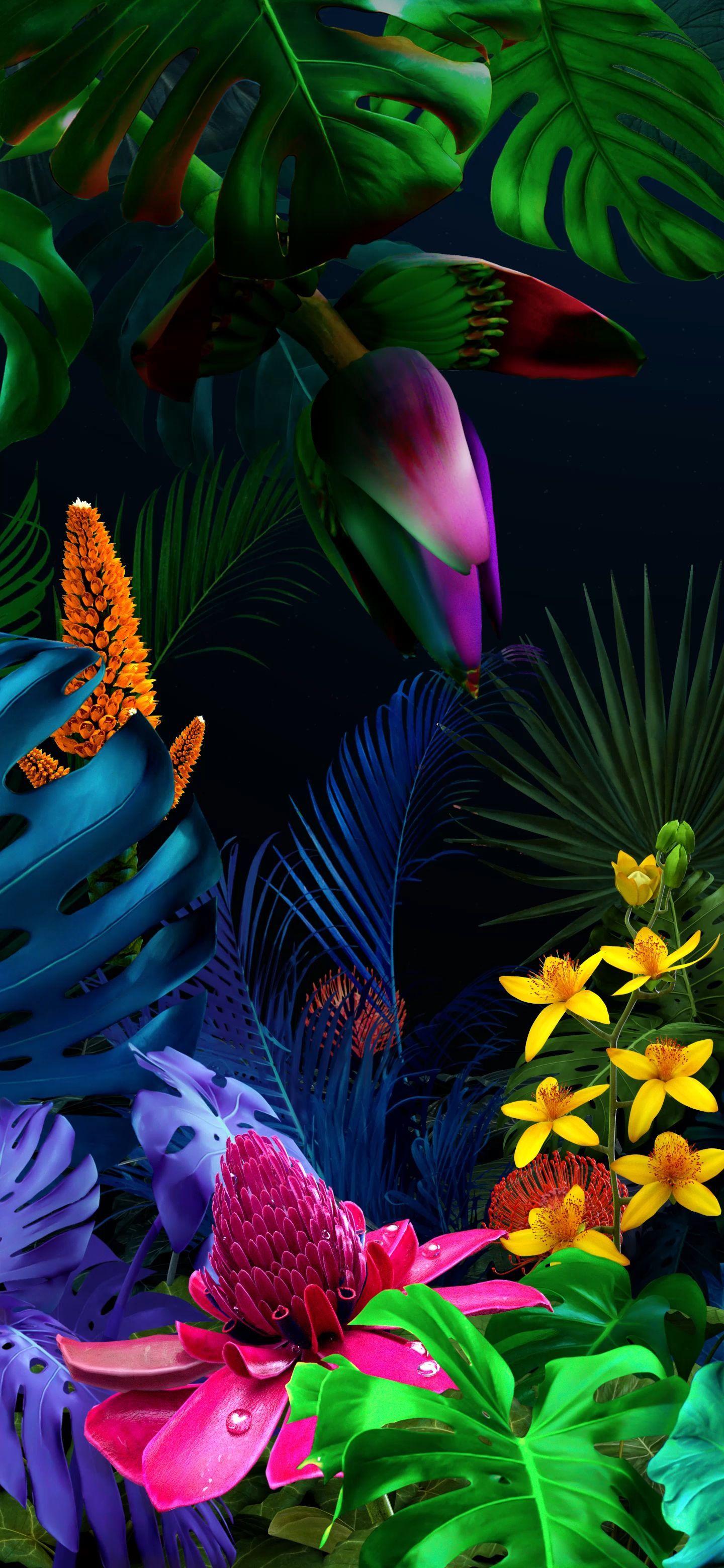 LG G8X Wallpapers Top Free LG G8X Backgrounds WallpaperAccess