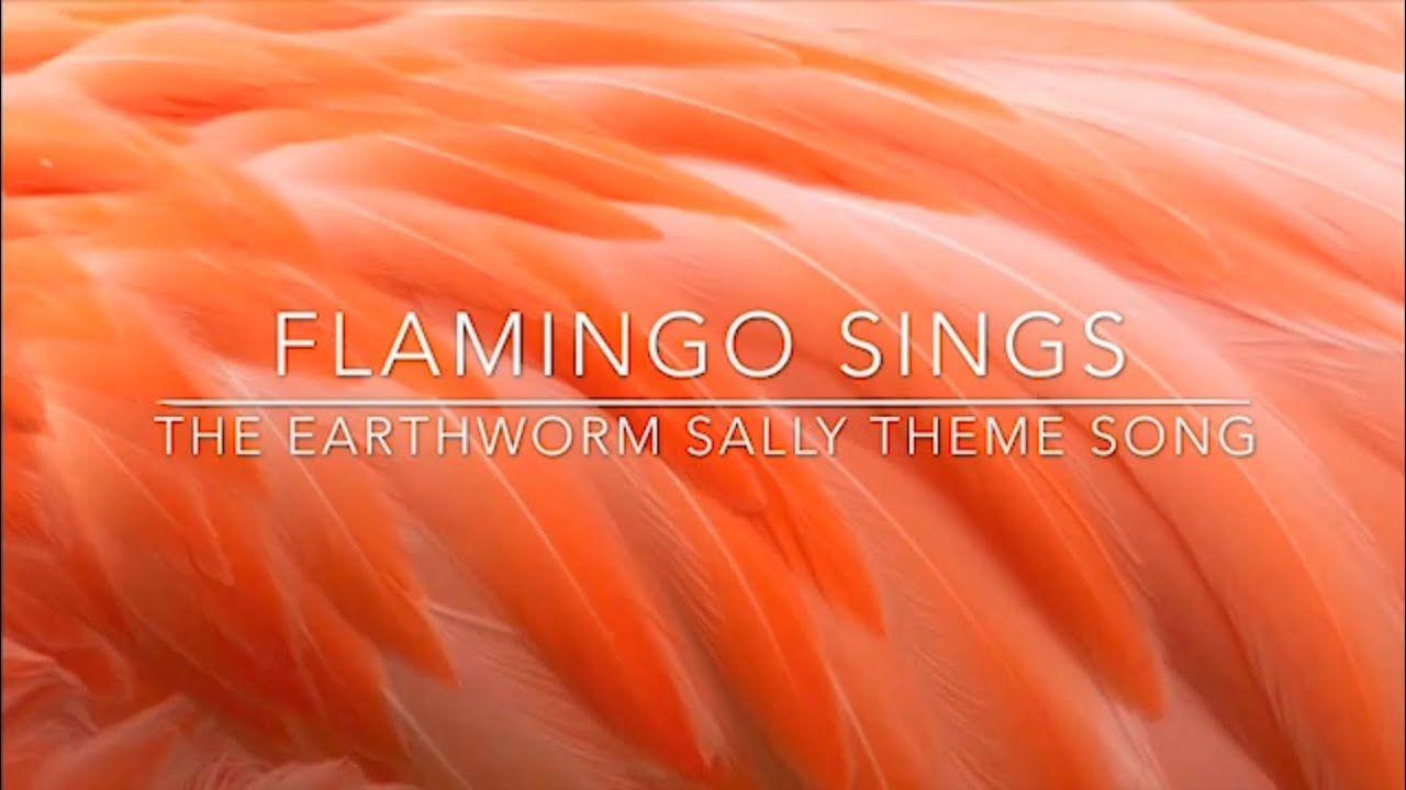 Earthworm Sally Wallpapers Top Free Earthworm Sally Backgrounds Wallpaperaccess - flamingo earthworm sally roblox id