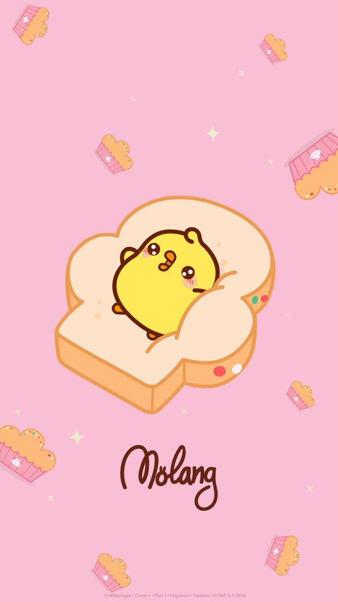 675x1200 Molang Wallpaper