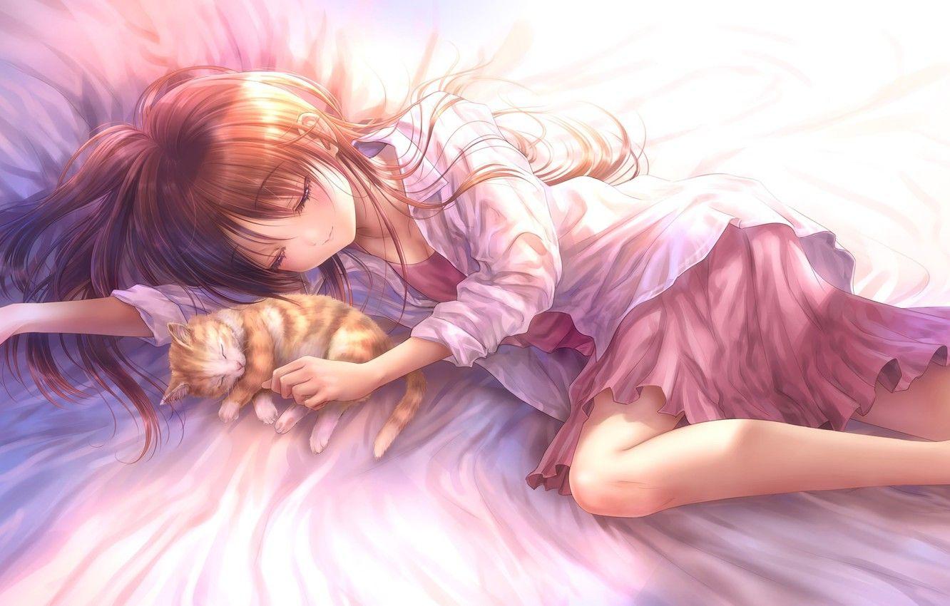 1332x850 Wallpaper cat, cat, anime, art, sleeping, girl image for desktop