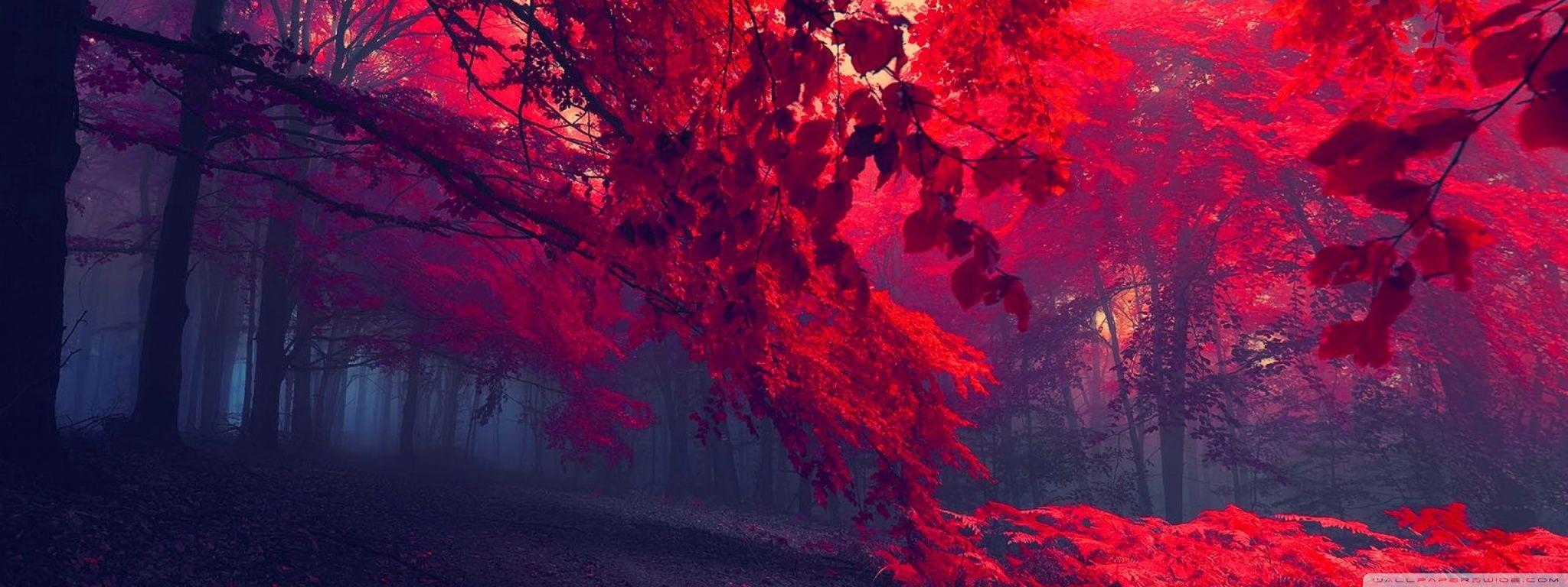 Red Dual Wallpapers - Top Free Red Dual Backgrounds - WallpaperAccess