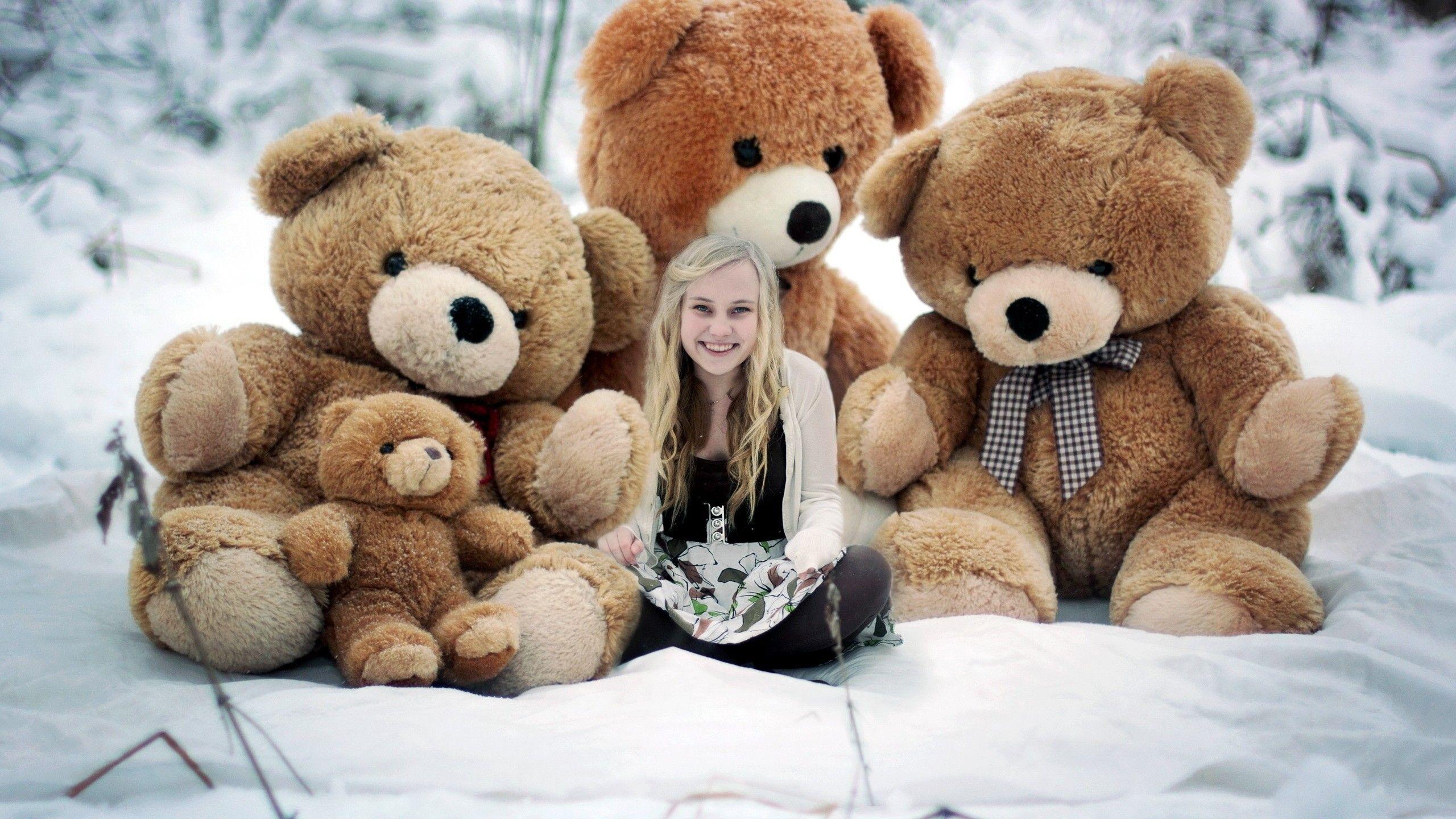2560x1440 Stuffed Animal Background HD Wallpaper 52917