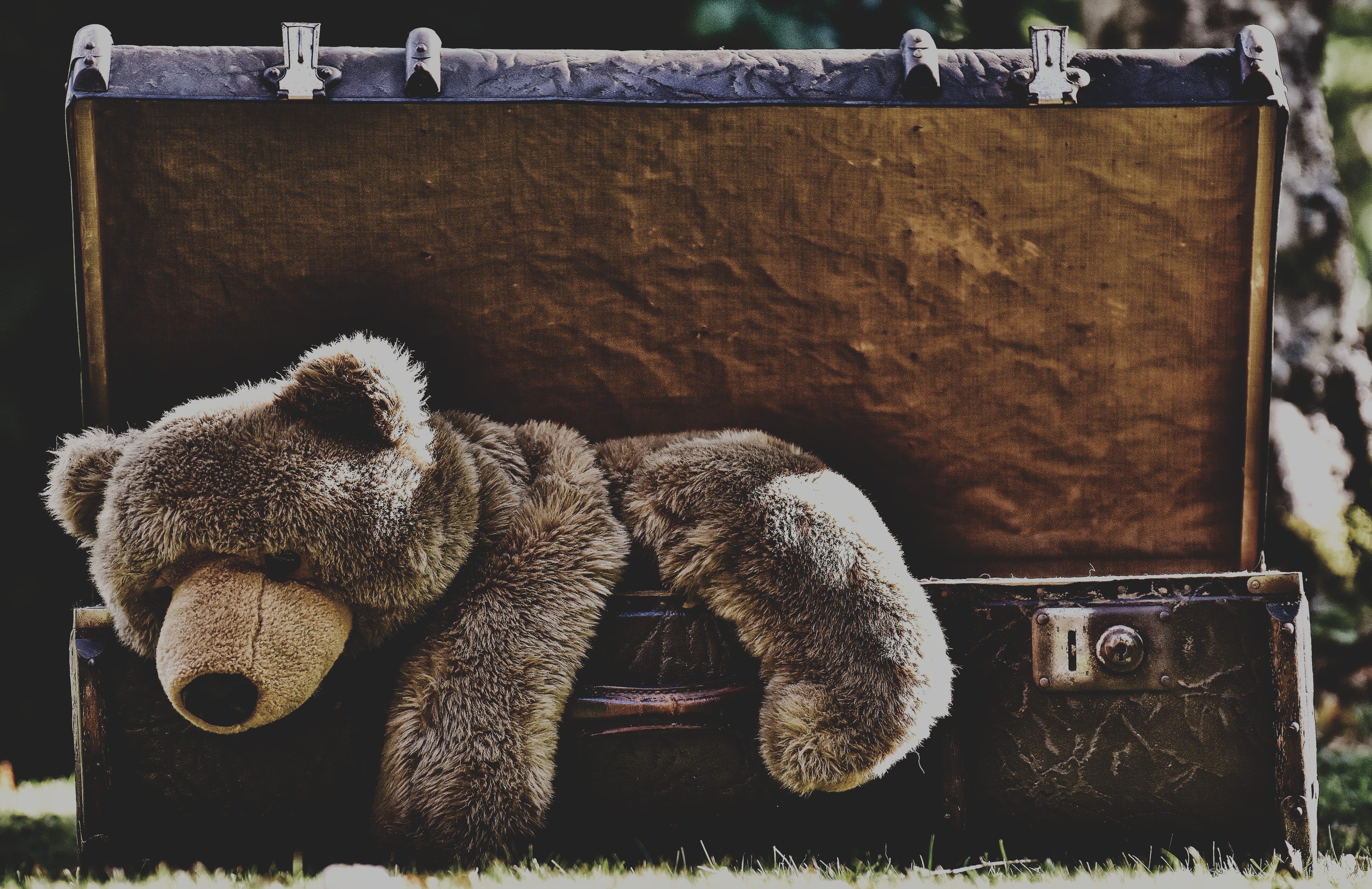 4877x3160 Wallpaper of Stuffed Animal, Suitcase, Teddy Bear background & HD image