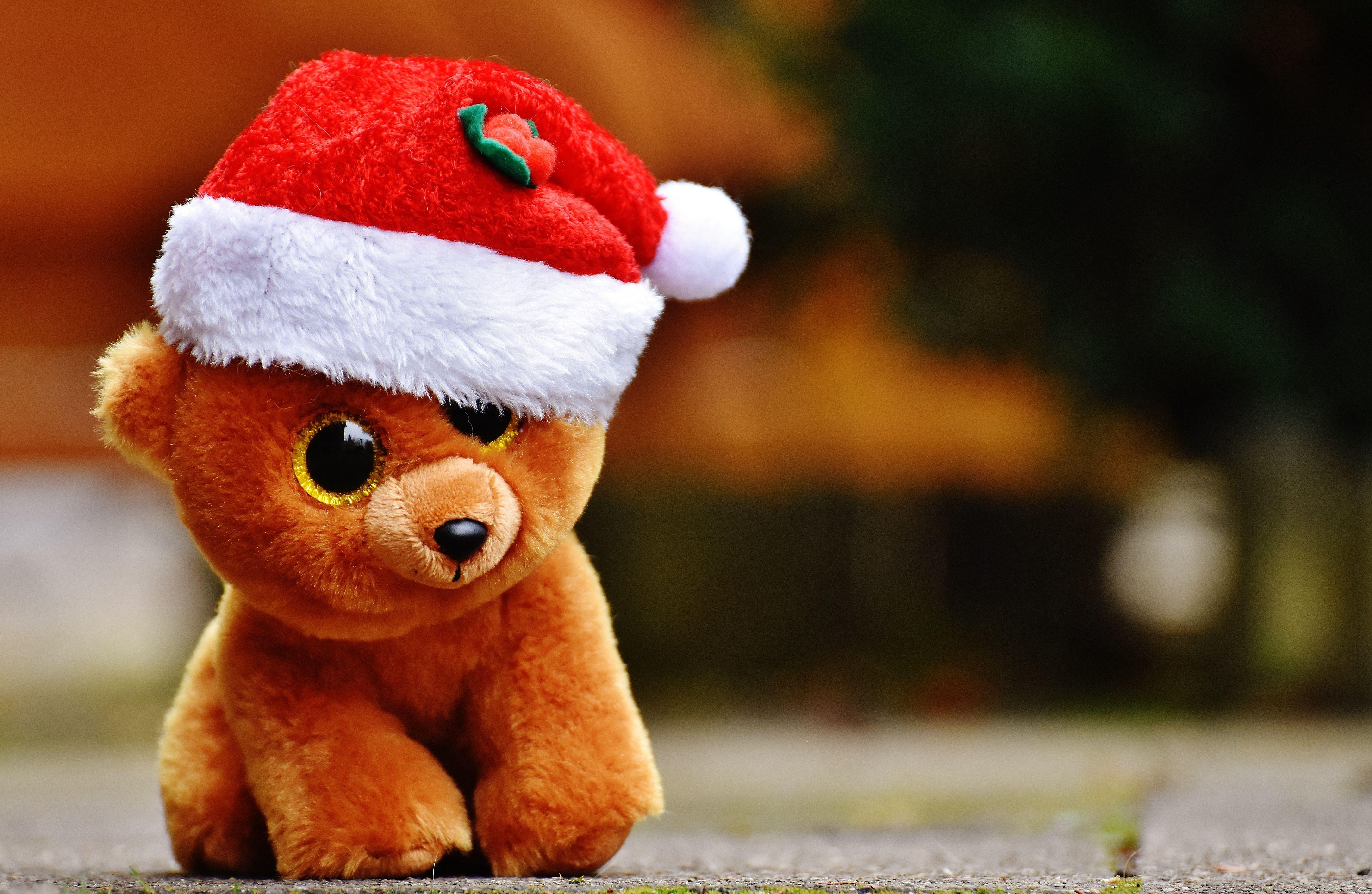 5708x3720 brown puppy plush toy with christmas hat free image