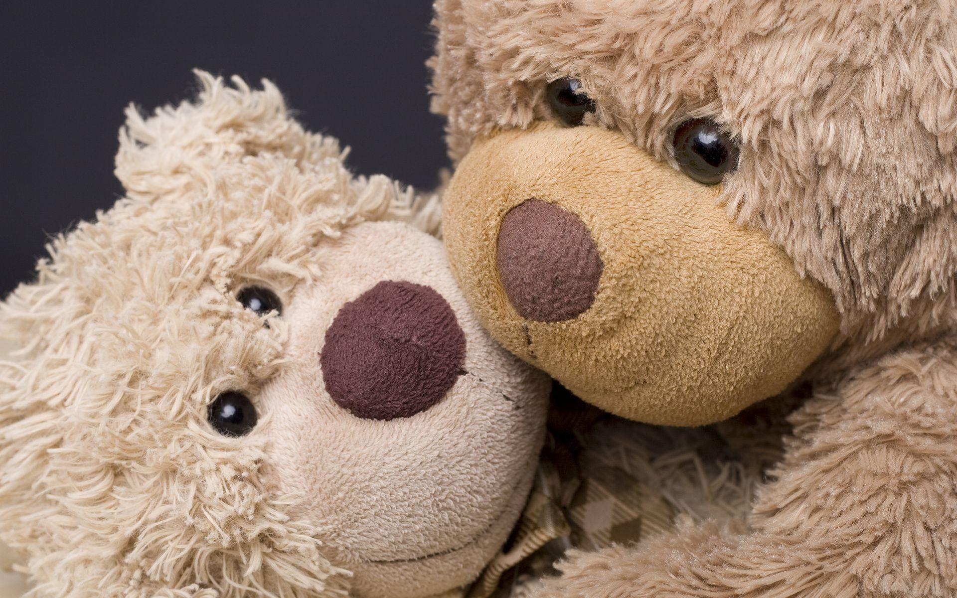 1920x1200 Holidats bears animals cute love romance embrace wallpaperx1200