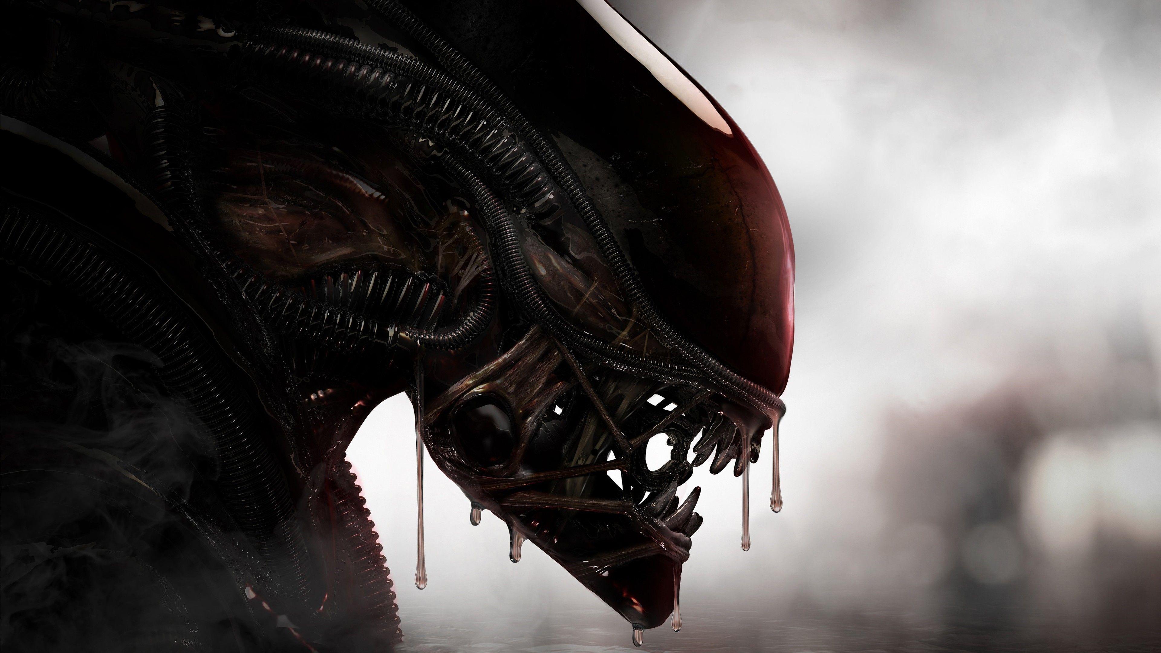 3840x2160 Wallpaper 4k Aliens Xenomorph Creature 4k 4k Wallpaper, Alien