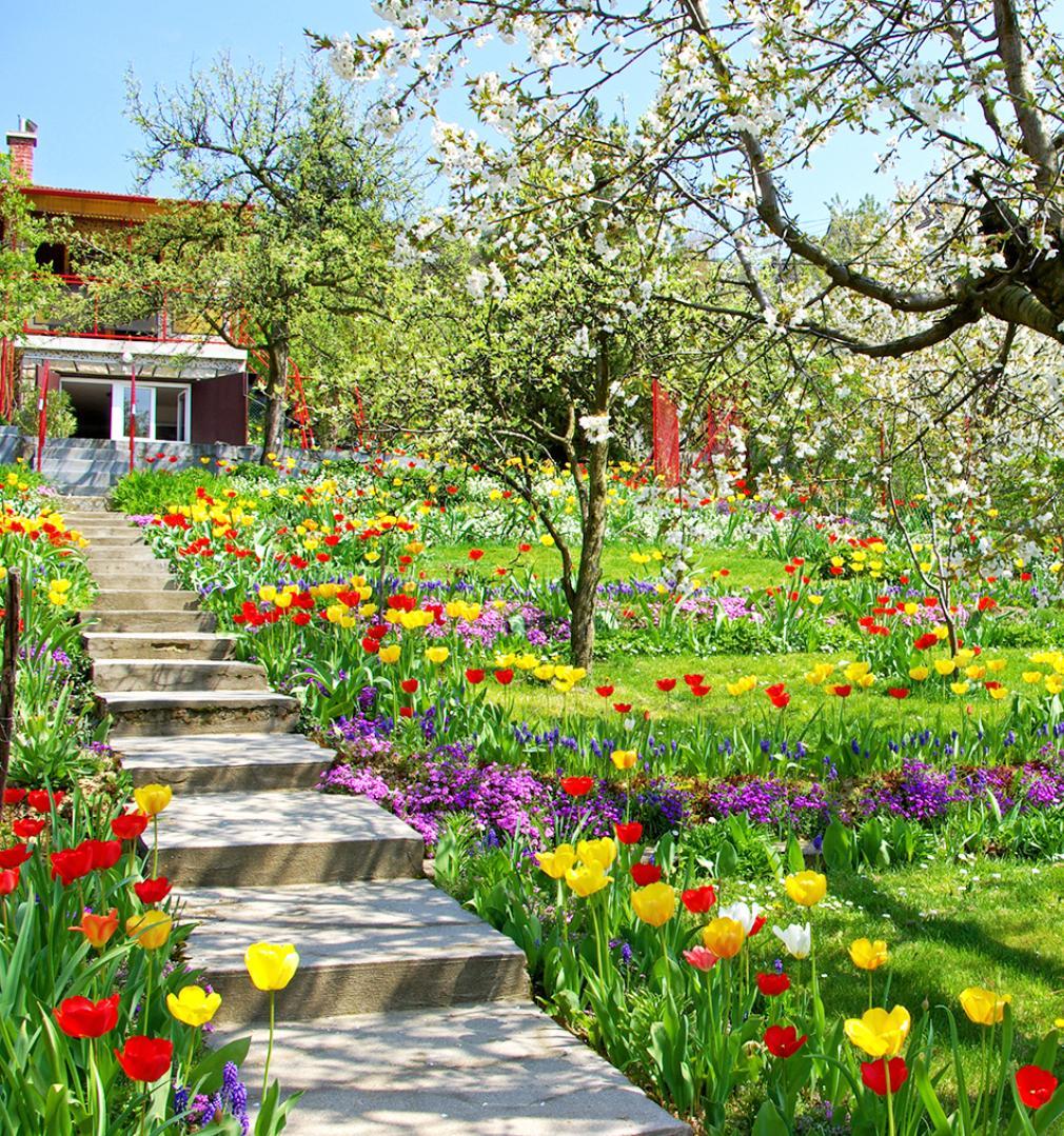1010x1079 Spring Flowers Garden Wallpaper for Android