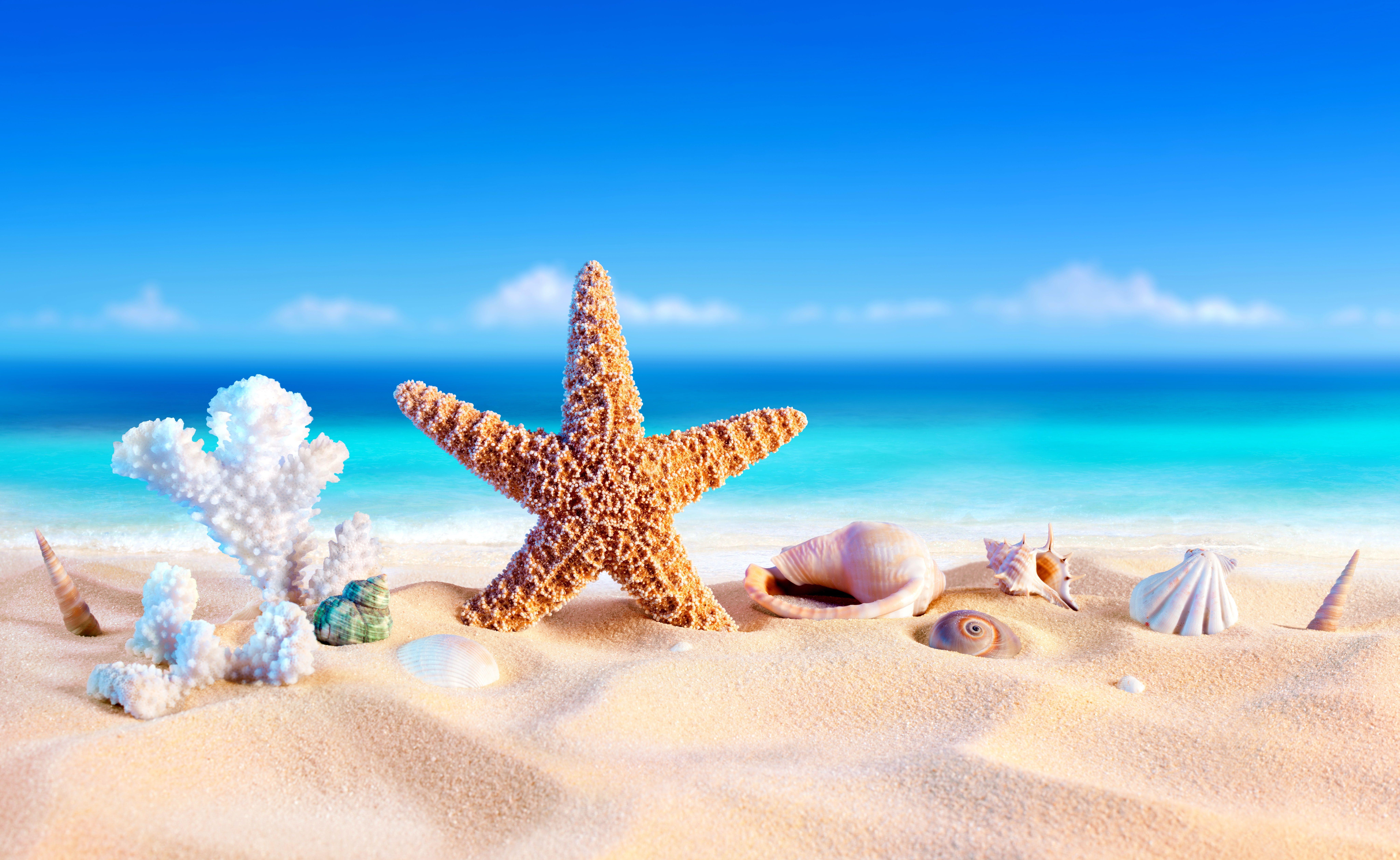 8200x5040 Summer 8k Ultra HD Wallpaper. Background Imagex5040