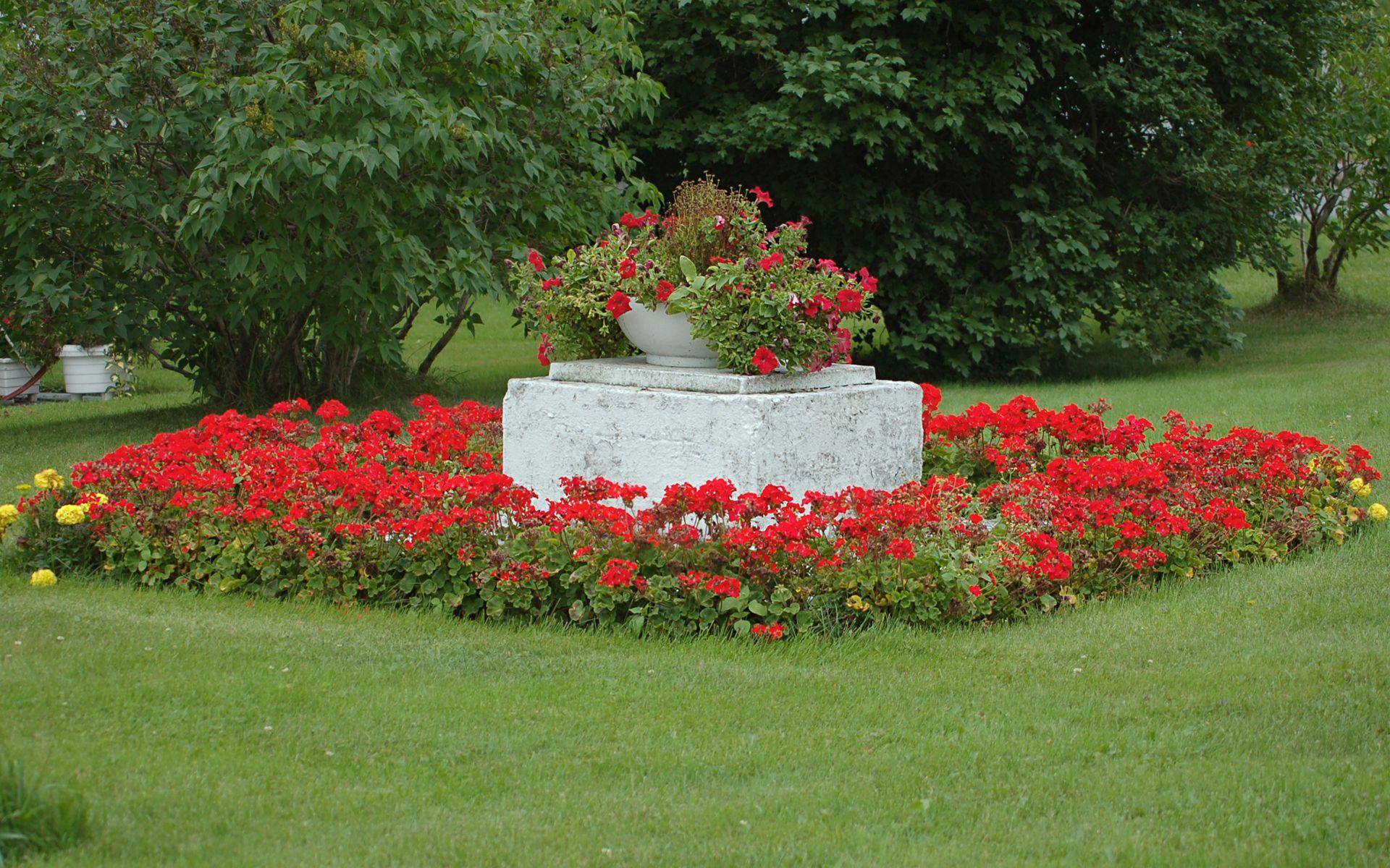 1920x1200 Moril Flowers Garden HD Wallpaper. Background Imagex1200