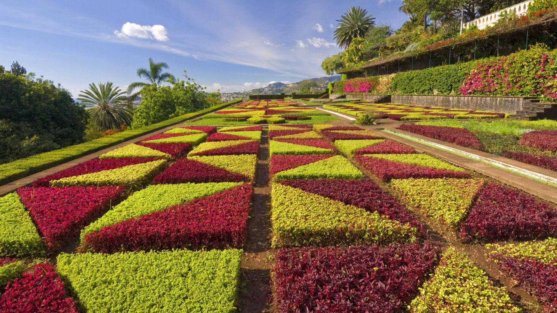 1920x1080 Free download Home Nature Flowers Plants Wallpaper Flower Garden