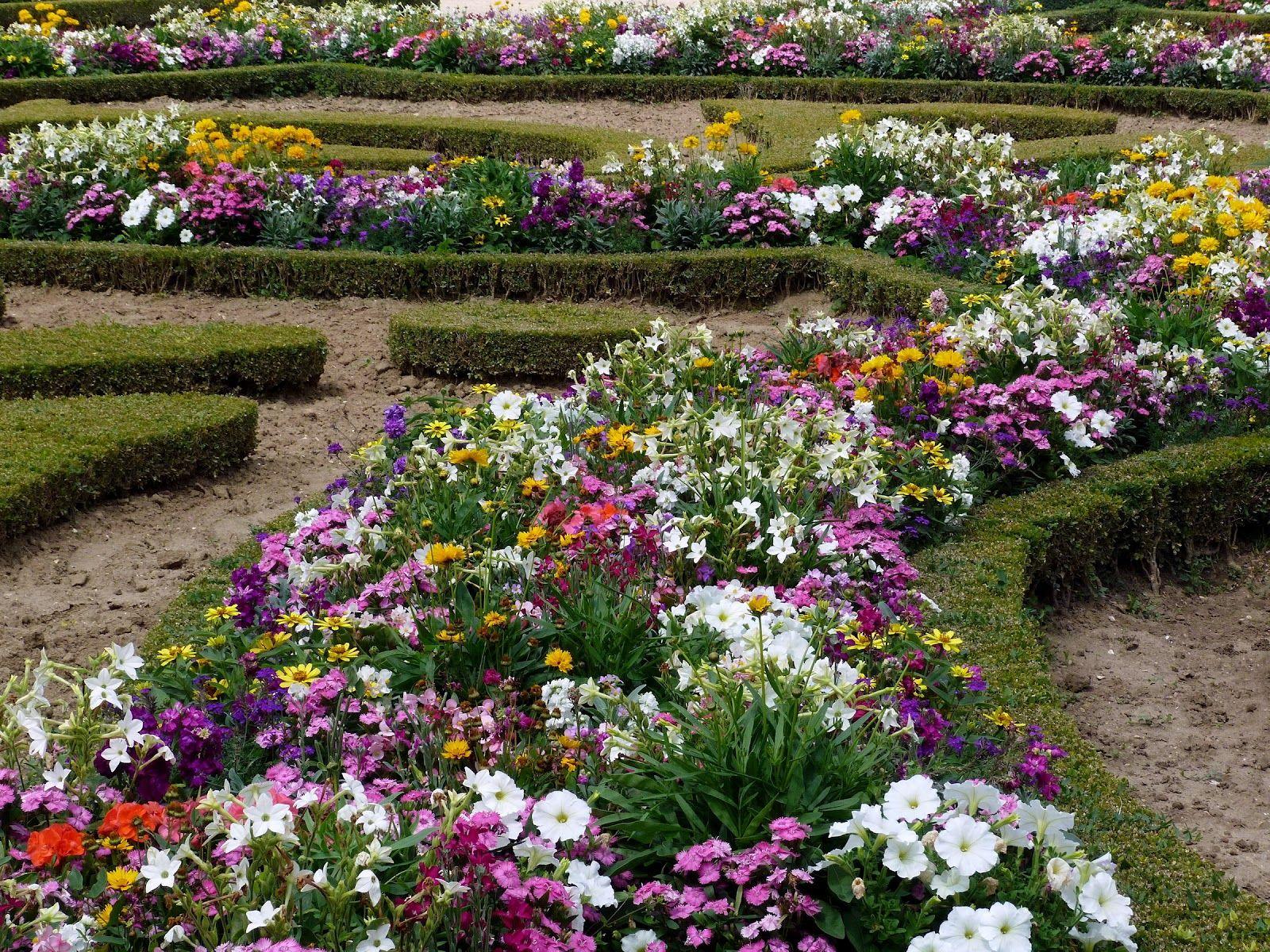 1600x1200 flowers for flower lovers.: Flowers garden wallpaper