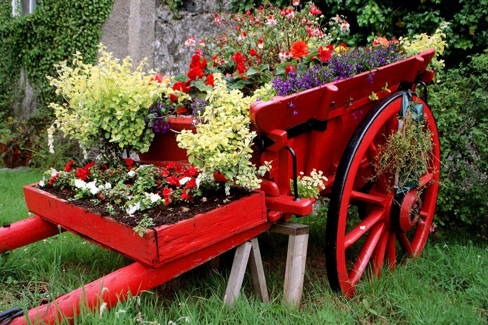 1600x1067 flower garden, flower forest cool wallpaper, wonderful flower