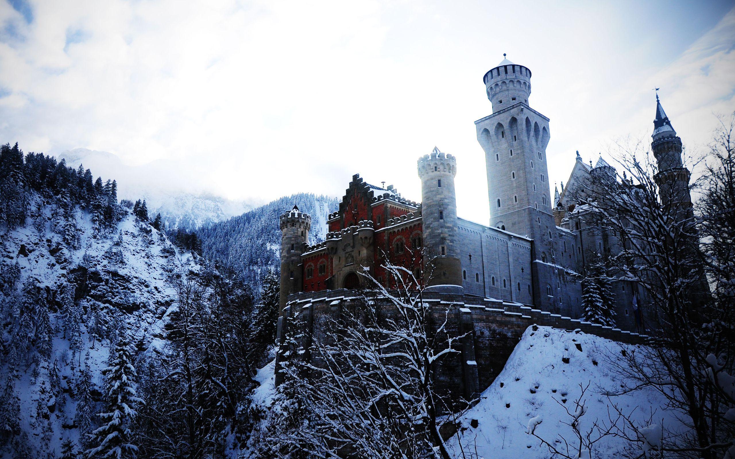 2560x1600 Alps Đức Neuschwanstein Castle Bovary hình nền mùa đông