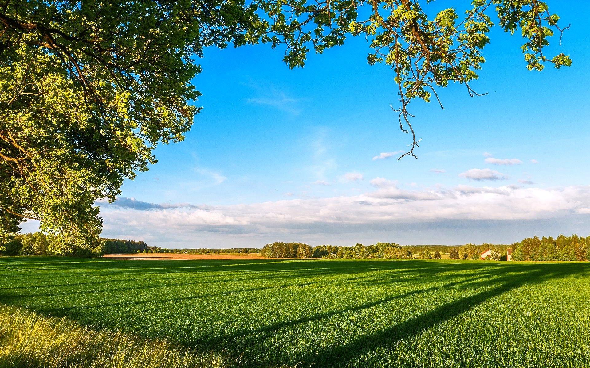 1920x1200 Farm House Wallpaper