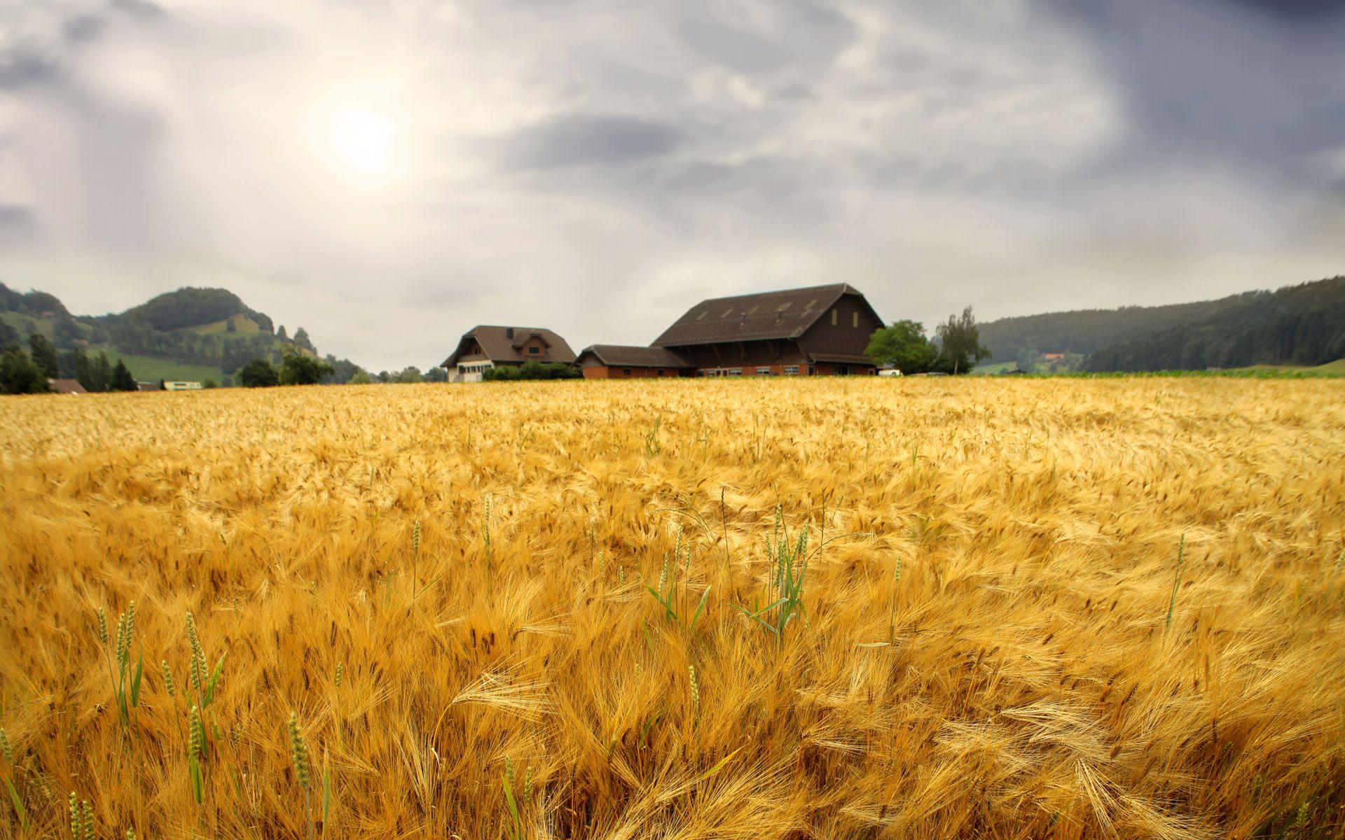 1920x1200 Farm Background. Farm Wallpaper