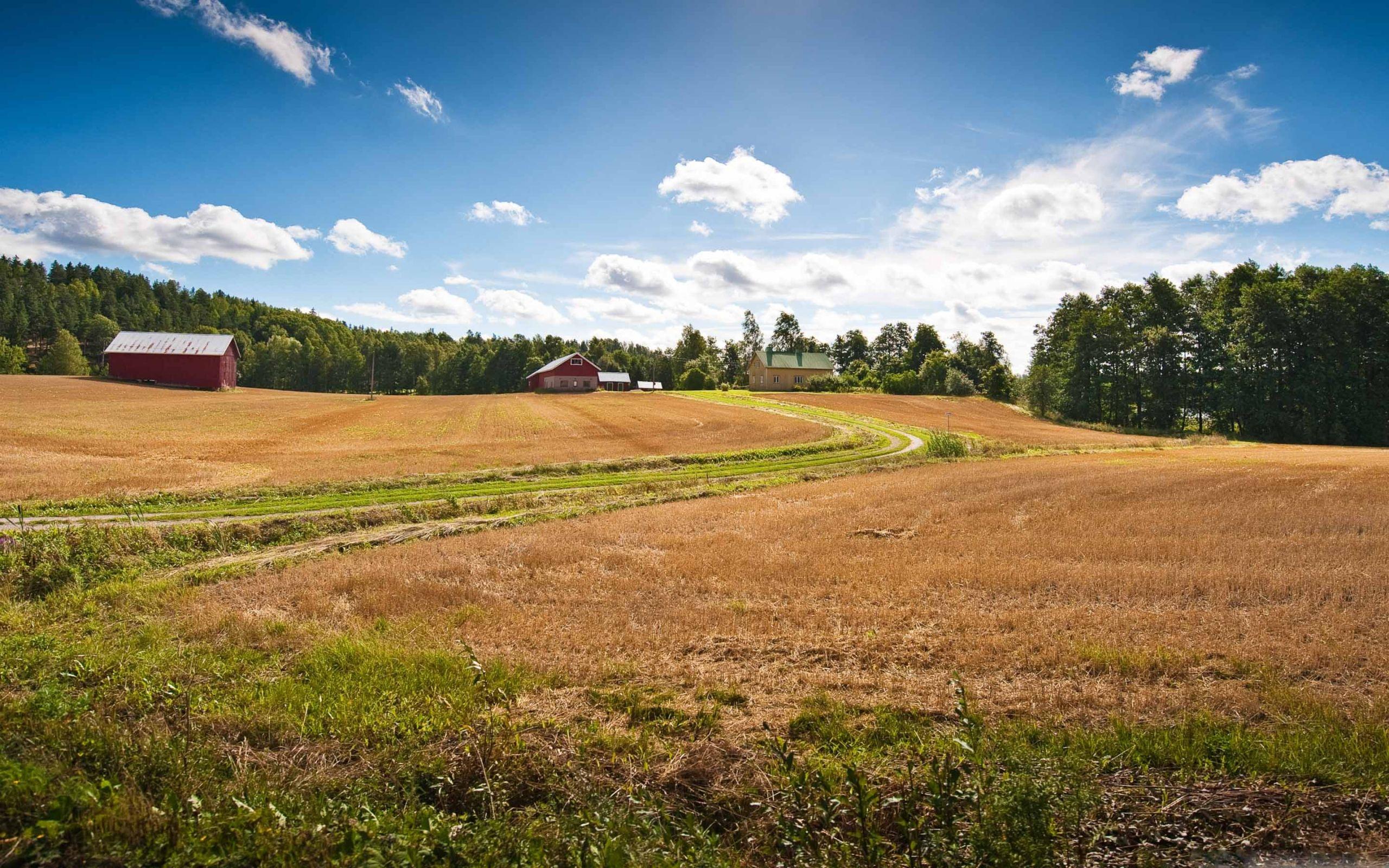 2560x1600 Farm Fields MacBook Air Wallpaper Download